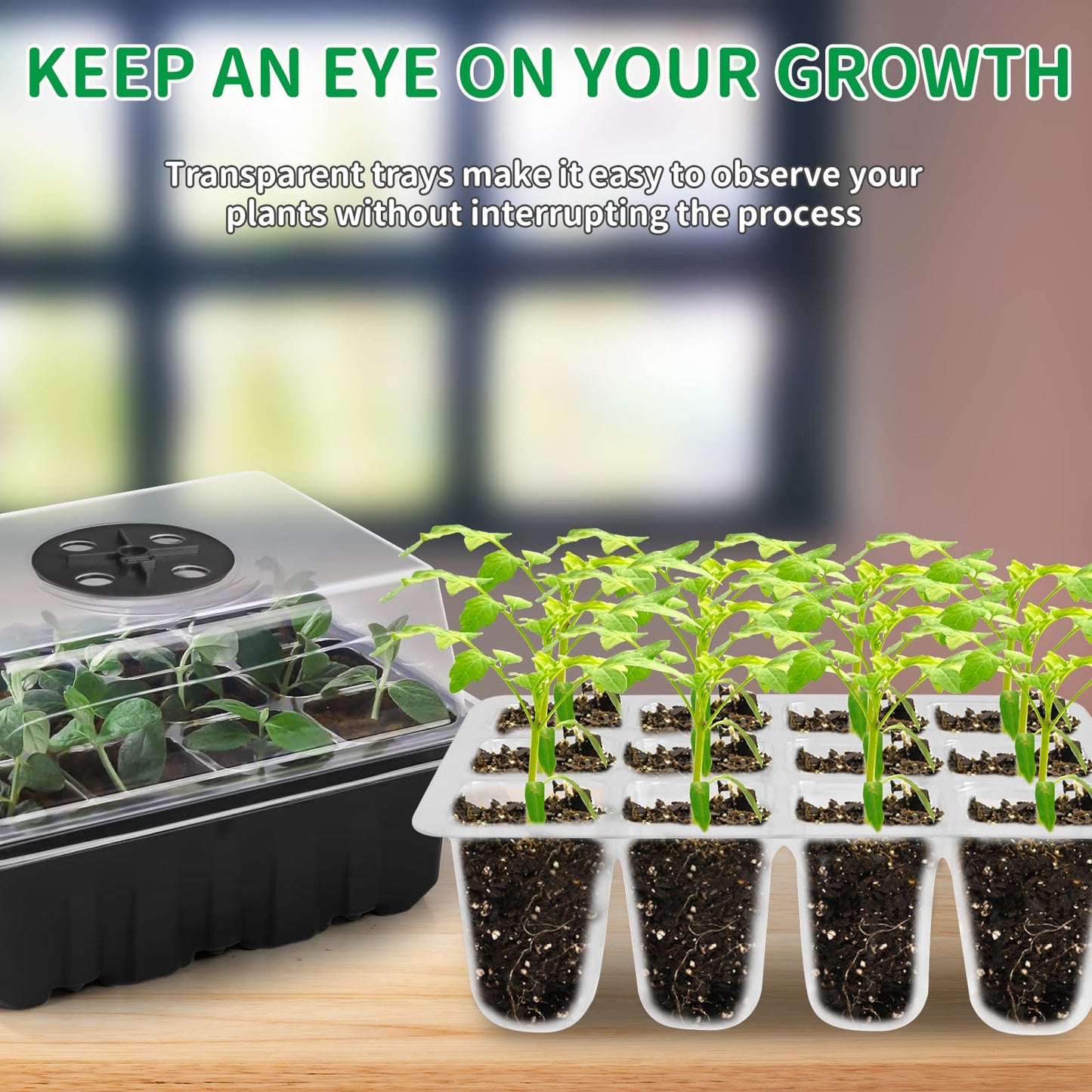 AUPETEK Seed Starter Tray with Grow Light and Heat Pad Seedling Starter Kit 60 Cell Trays Germination Station