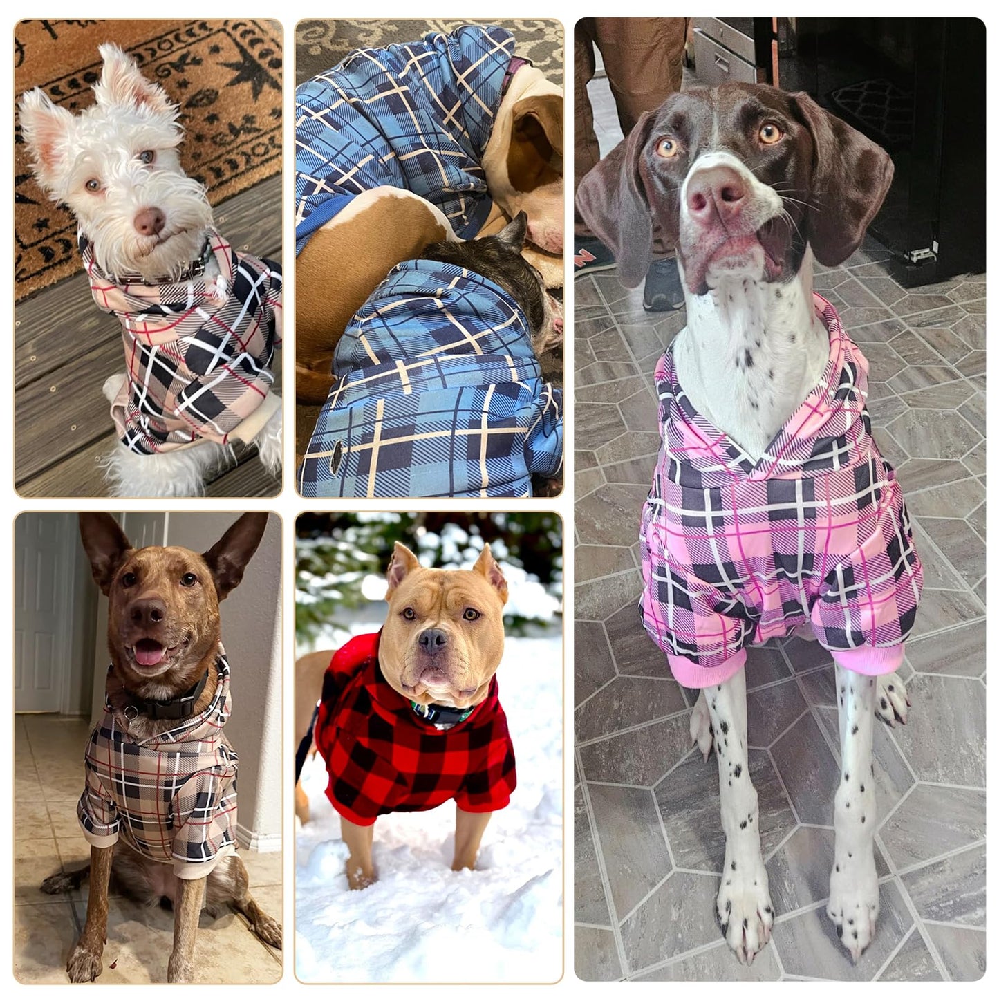EXPAWLORER Plaid Dog Hoodie - British Style Warm Dog Sweater Shirt with Leash Hole,Pitbull Clothes Outfits,Winter Coat Apparel for All Breeds Puppy Girl Boy-Cat Apparel,Beige XL-XXLarge