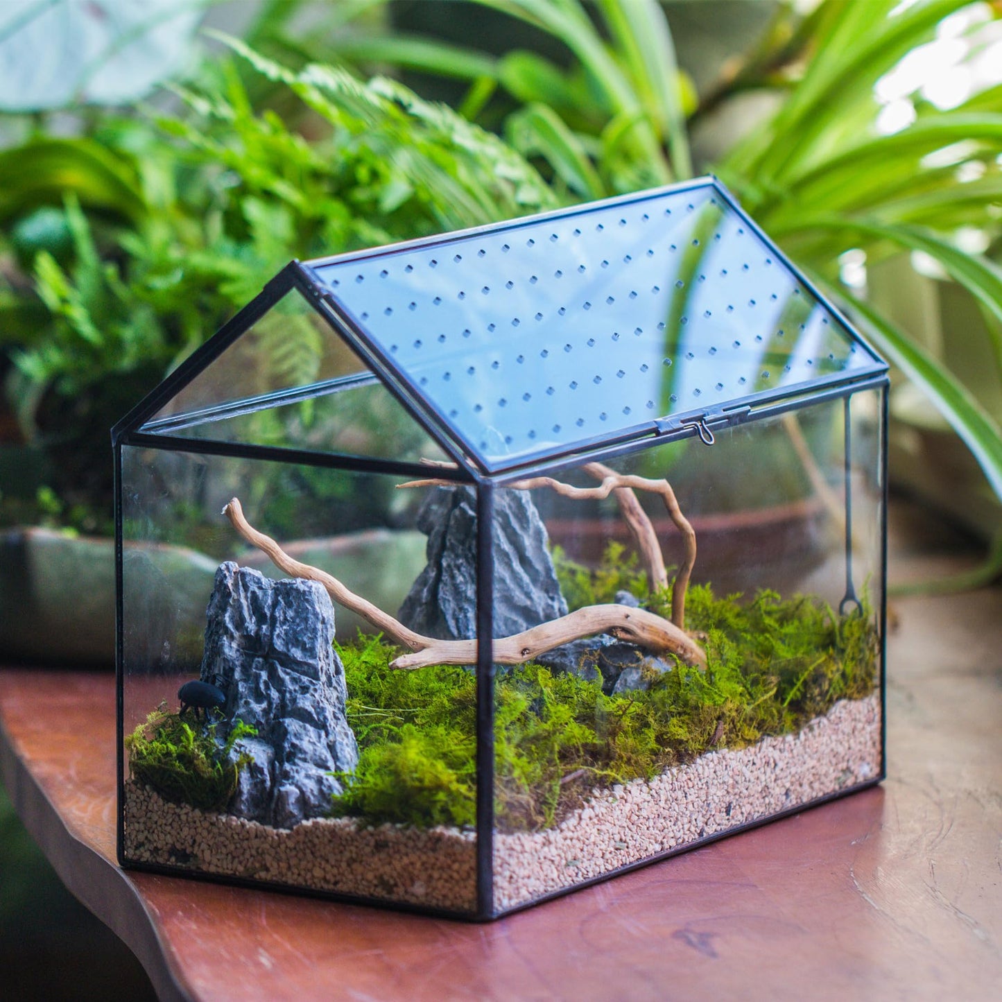 NCYP Glass Terrarium with Acrylic Lid, 26x15x21 cm, Large Geometric House Shape Clear Box for Snails, Ferns, Succulents, Air Plants, Indoor Tabletop Decor, Black (Terrarium Only)