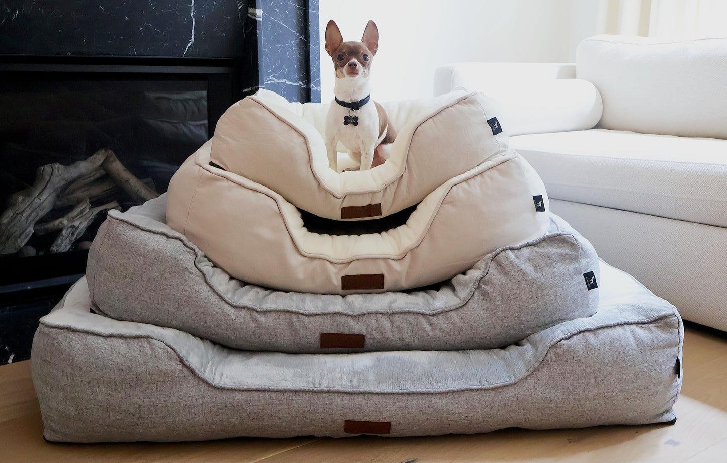 JACKO & CO - Premium Orthopedic Dog Bed with Egg Crate Memory Foam – Waterproof Lining & Removable Machine Washable Cover – Soft Velvet Fabric & High-Density Foam with Non-Slip Base (Beige, X-Small)