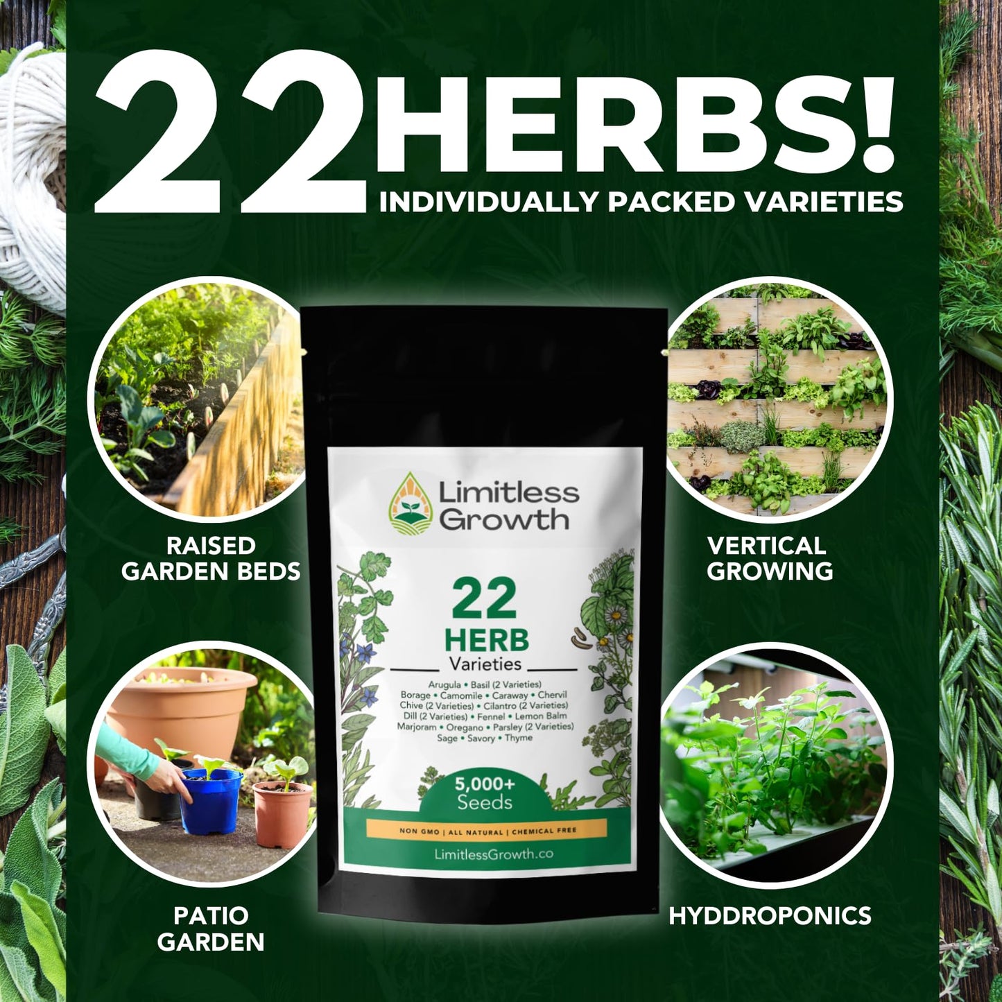 Herb Seed Pack | 22 Herb Varieties for Planting Canadian Climates | Arugula, Basil, Borage, Chamomile, Caraway, Chervil, Chive & More | Beginner-Friendly Indoor Herb Garden Kit | Limitless Growth