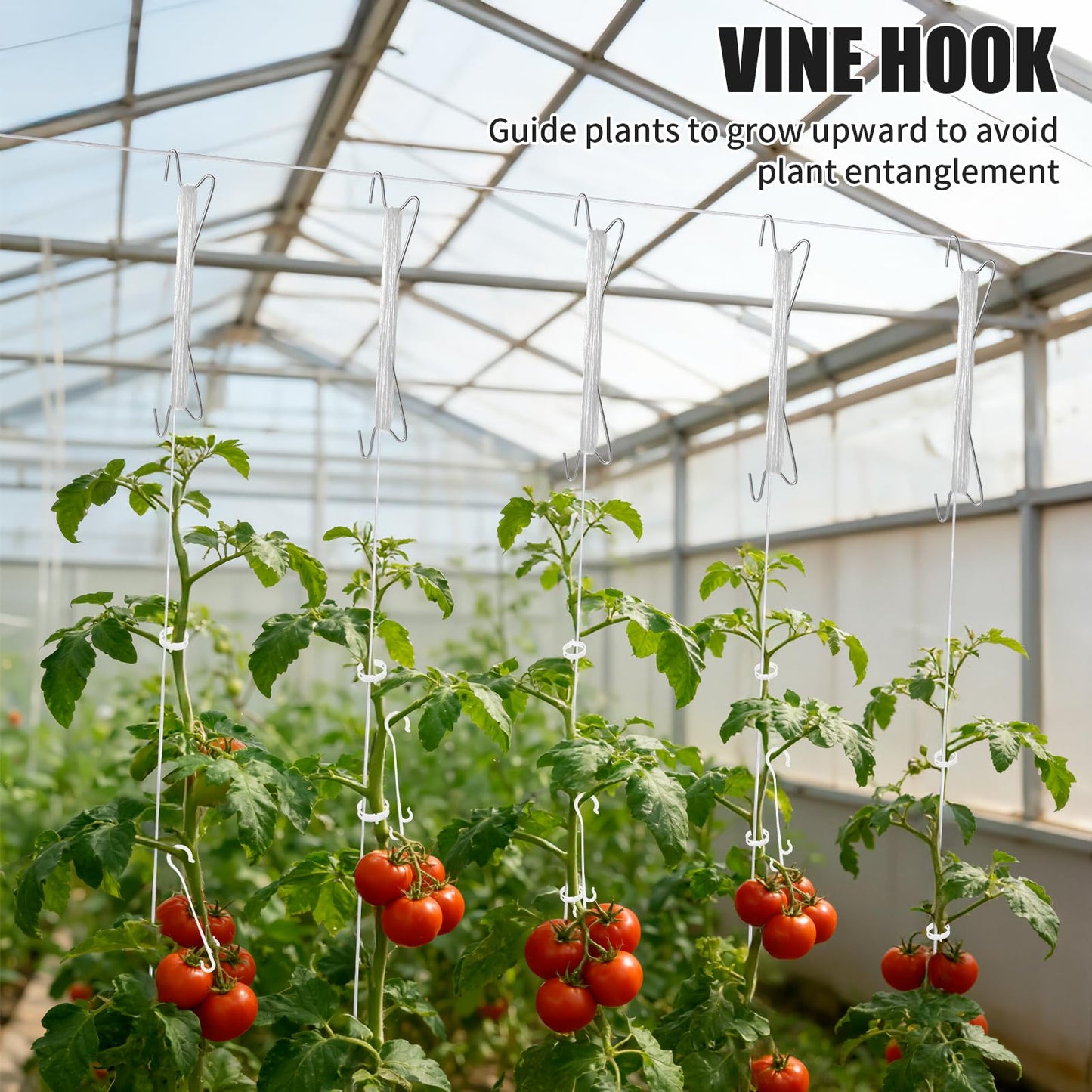 190pcs Tomato Hooks with String with Tomato Plant Support Clips, J-Hook, Tomato Holder Hooks with 33.3ft Tomato Twine for Climbing Plants Tomato Cucumber Cherry Vegetable