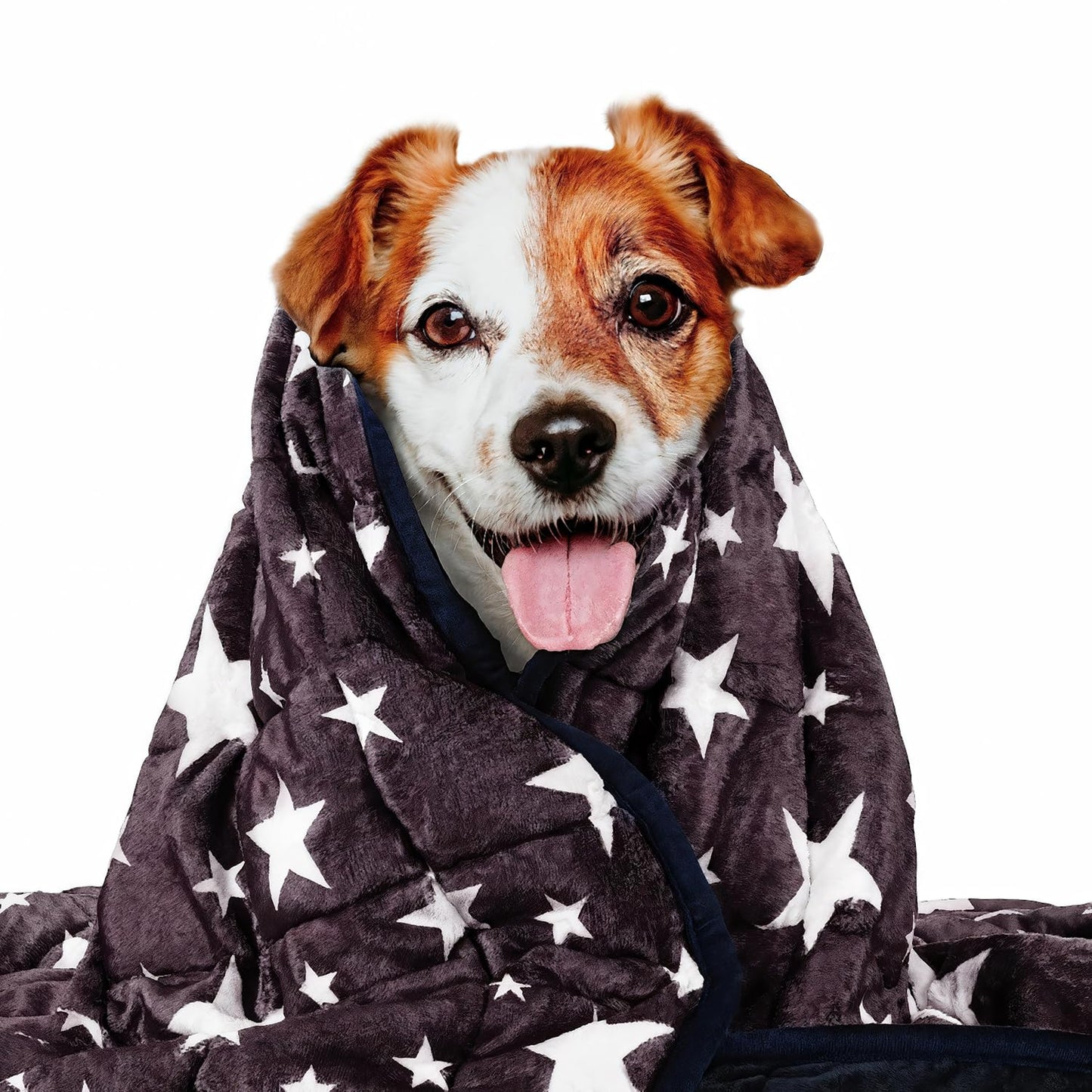 LaSyL Weighted Blanket for Pets | Thunder Blanket for Dogs Anxiety | Premium Soft Minky | Relaxation & Calming & Anti Anxiety | Blue Grey Star, Washable Large 102 x 120 cm