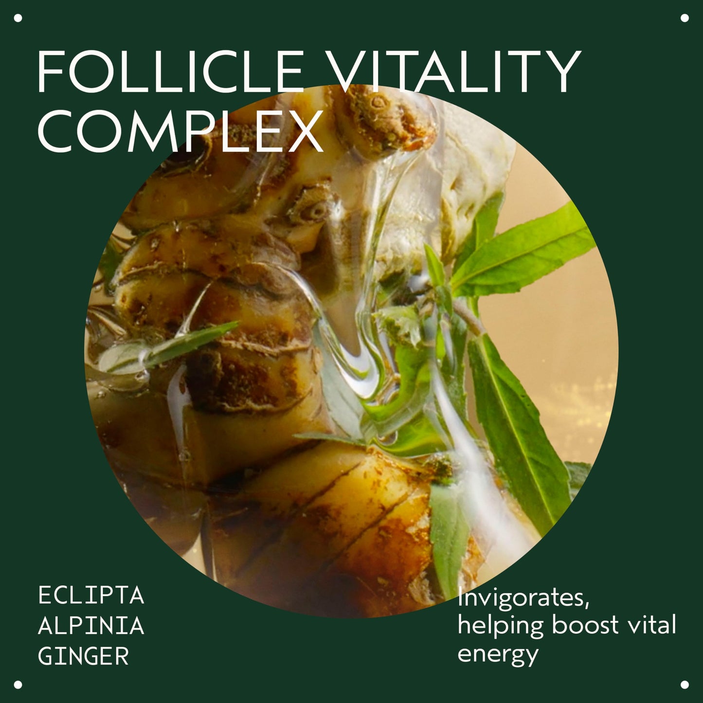 Aveda Invati Ultra Advanced Revitalizing Scalp Serum | Step 3 of 4 | Reduces Hair Loss by 77% | Strengthens Thinning Hair | 98% Naturally Derived*, 150ml