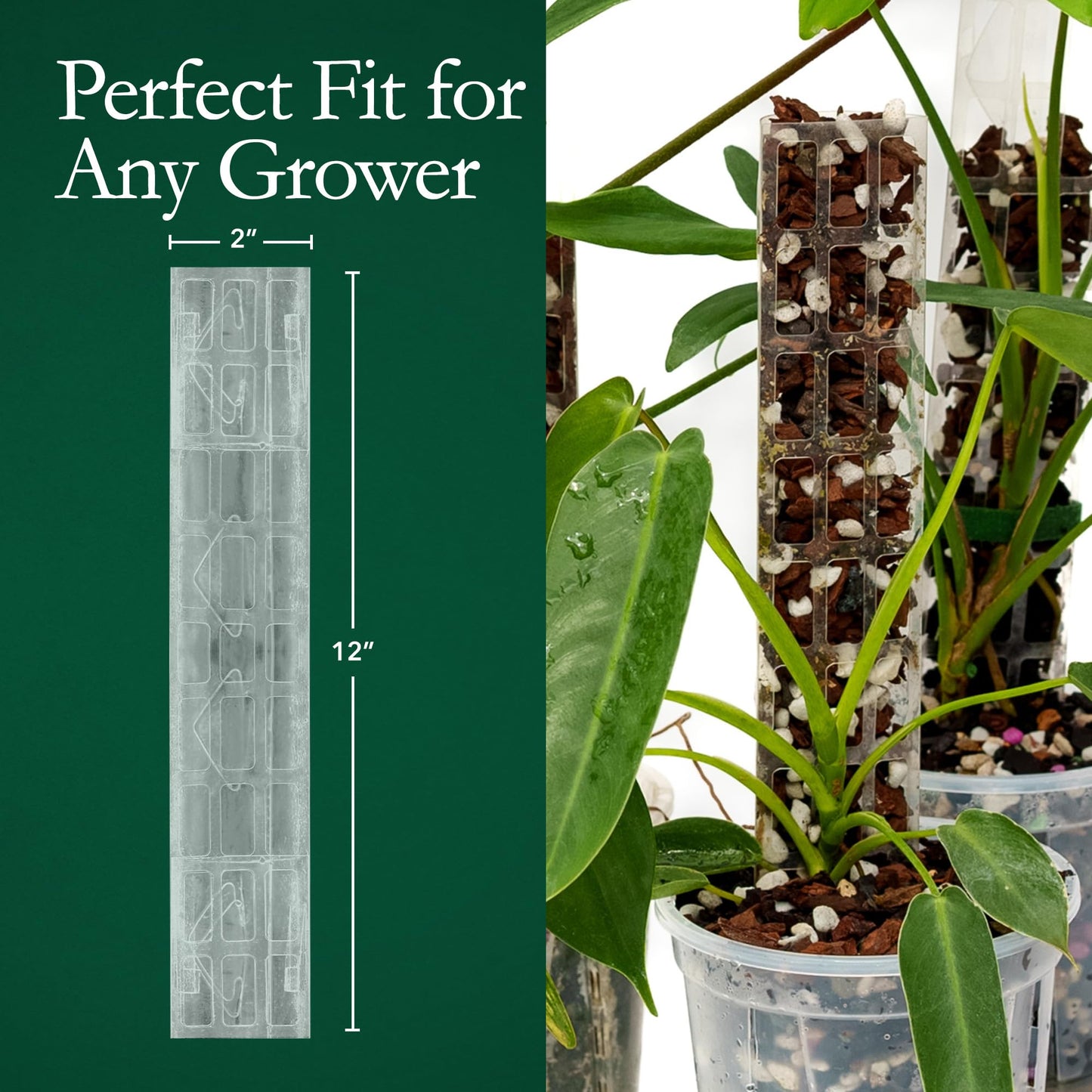 THICCLY GrowPole 2.0 Small Pro - 10 Piece Pack