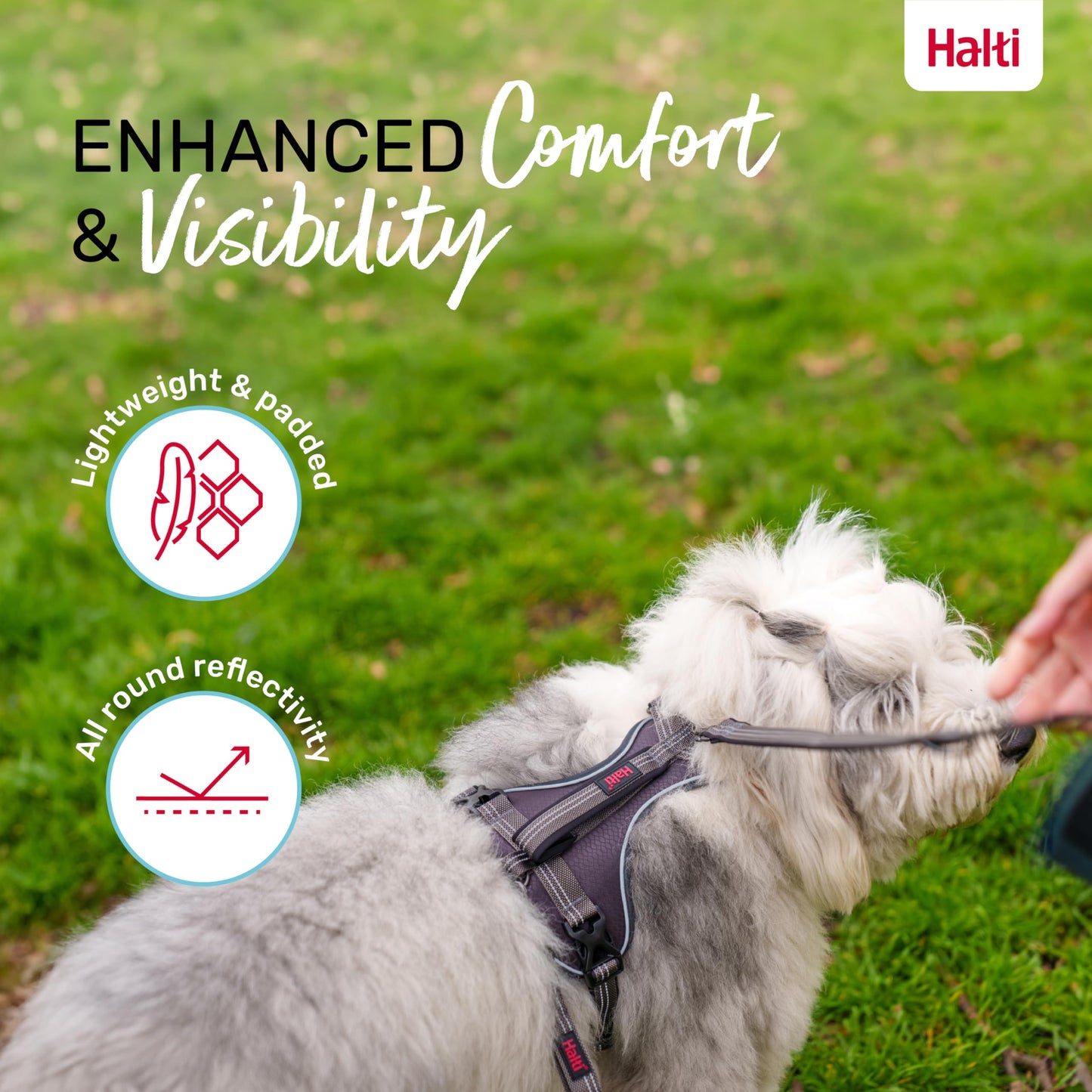 HALTI Anatomy Dog Harness with Handle - Provides Your Dog Freedom of Movement for Comfortable Walking. 3 Leash Attachment Points, Neoprene Padded, Adjustable, and Reflective (Size Large, Grey)