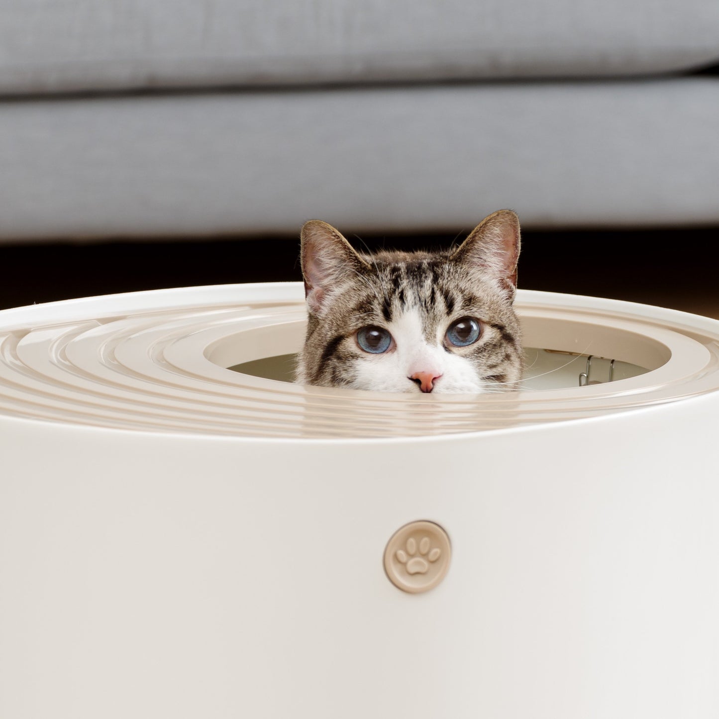 IRIS USA Top Entry Cat Litter Box with Cat Litter Scoop - Large - White