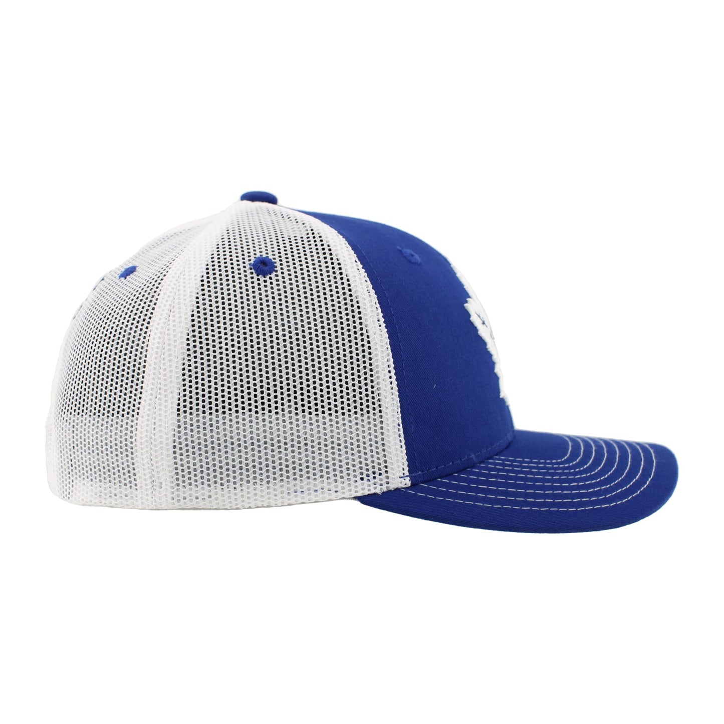 ZHATS Standard NHL Officially Licensed Adjustable Snapback Hat Dakota Icon Team Color