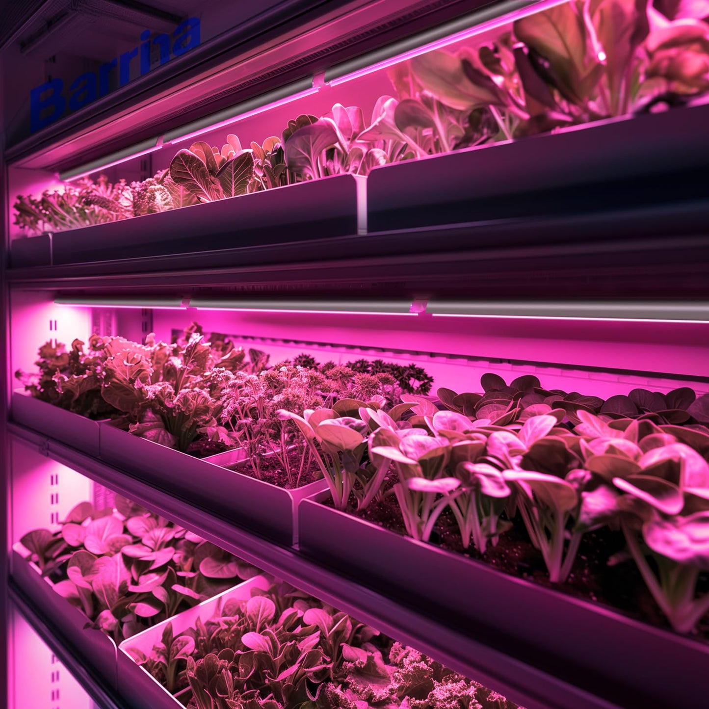 Barrina Full Spectrum LED Grow Light, 144W(6 x 24W, 800W Equivalent), 2FT T8, High Output, Linkable Design, Led Growing Lamps, Plant Lights for Indoor Plants Hydroponic, 6-Pack