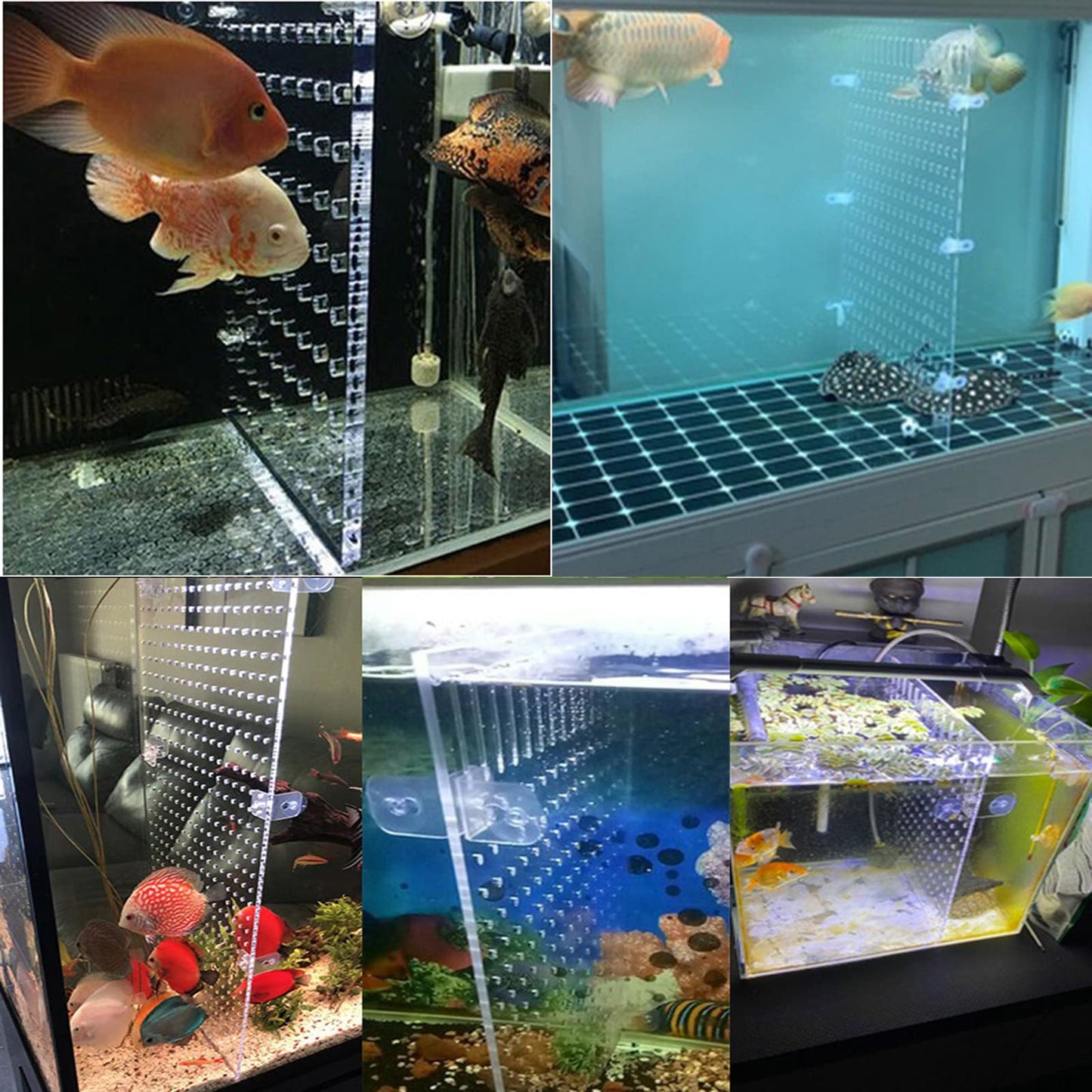 HingoFuni Aquarium Fish Tank Divider Acrylic Isolation Grid Board with Suction Cups Included Clear Fish Separator Transparent Plate Baffle Cover Blocking Fish Partition Net 30x40cm/11.81x15.74in