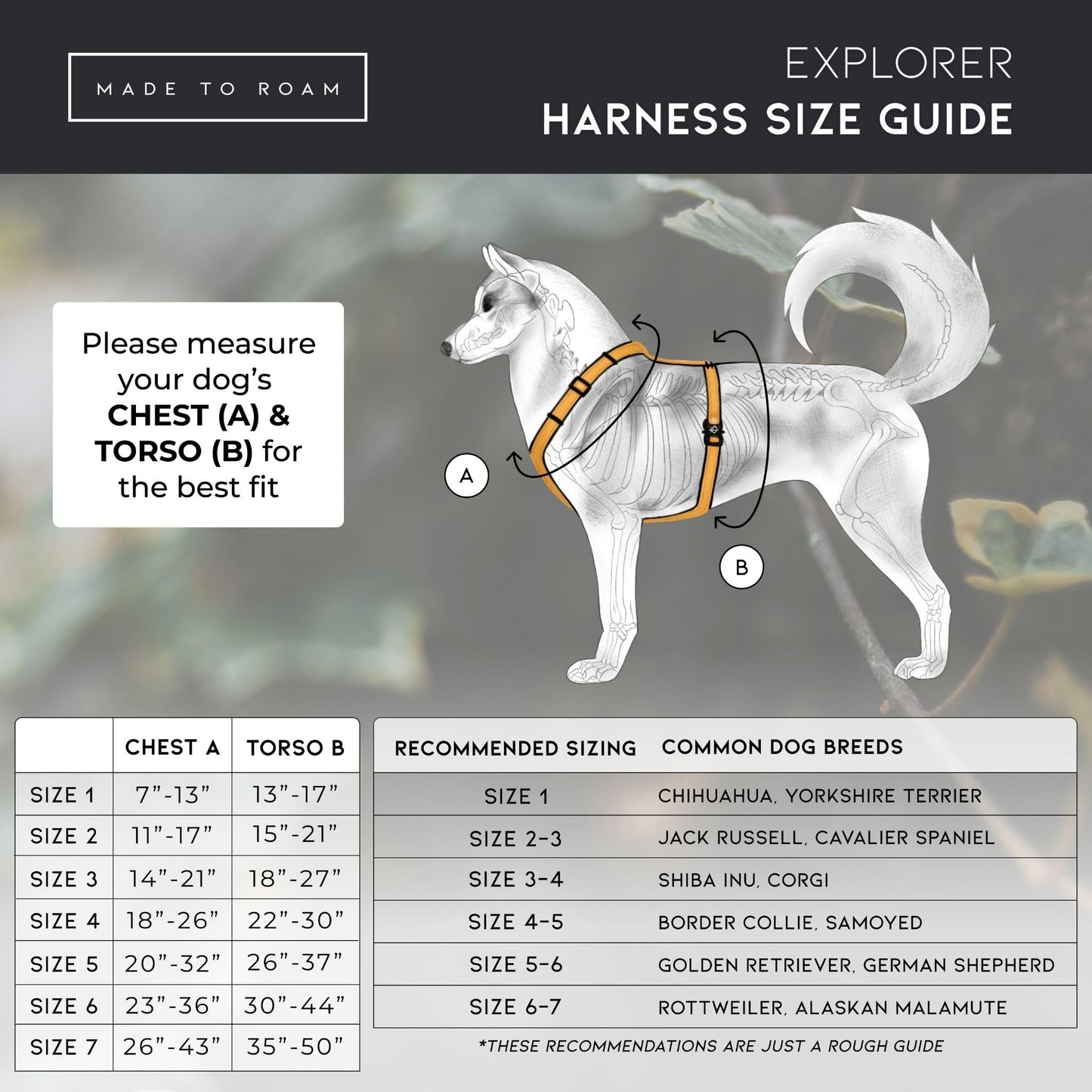 MADE TO ROAM Premium Explorer Harness - Y-Shaped Dog Harness with Adjustable Durable Nylon, Soft Padding, Metal Buckles and Leather Handle for Small, Medium, Large Dogs (Maine Marina, Size 4)