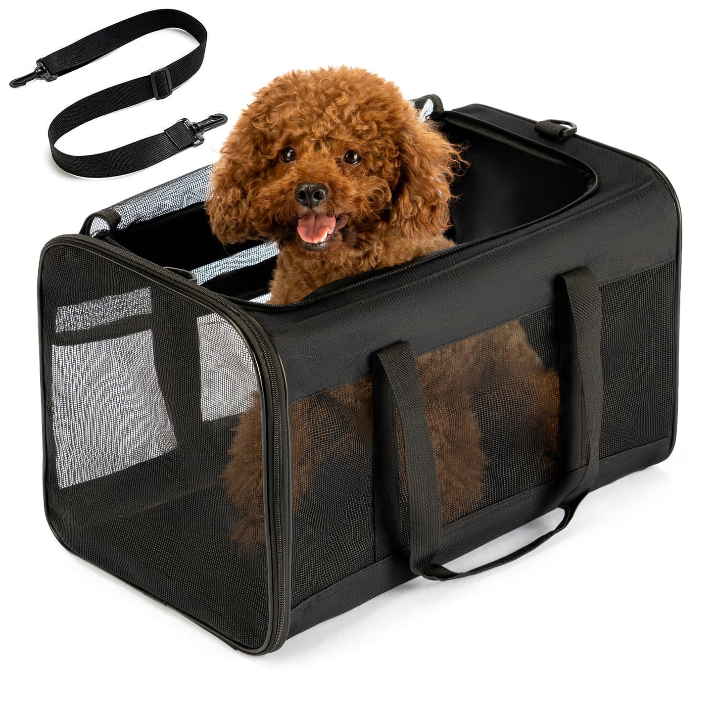 Conlun Cat Carrier Bag,Soft-Sided Pet Carriers for Dogs with 4-Sided Mesh,Airline Approved Cat Transport Carrier for Small&Medium Cats Kitten Puppy Up to 6Kg,Collapsible Cat Travel Carrier-L,Black