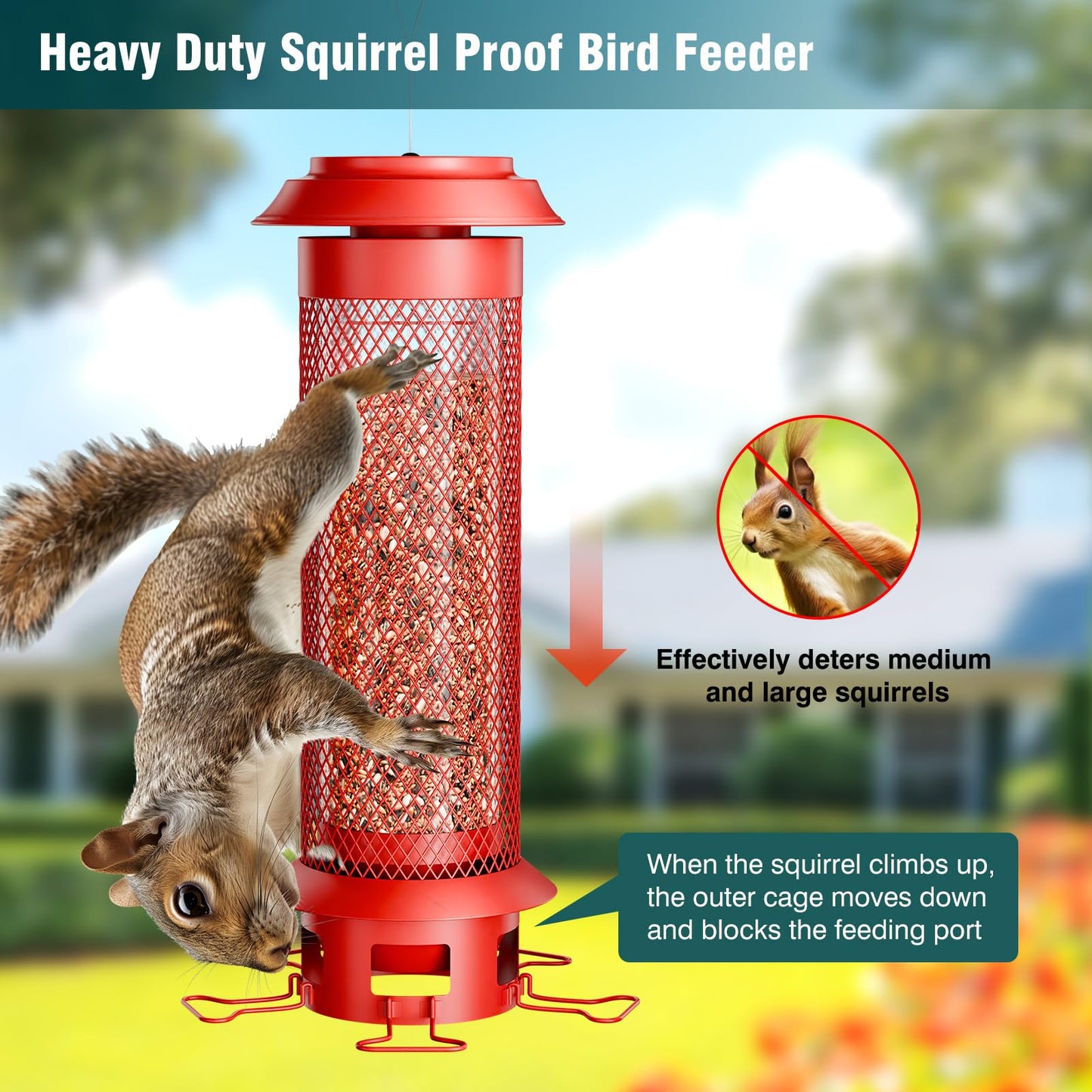 Wellavich Weight-Activated Squirrel Proof Metal Bird Feeder with Removable Spill-Proof Tray, 5 Perches, 4 lb Capacity, Easy to Fill and Clean, Outdoor Bird Feeder for Medium to Large Birds
