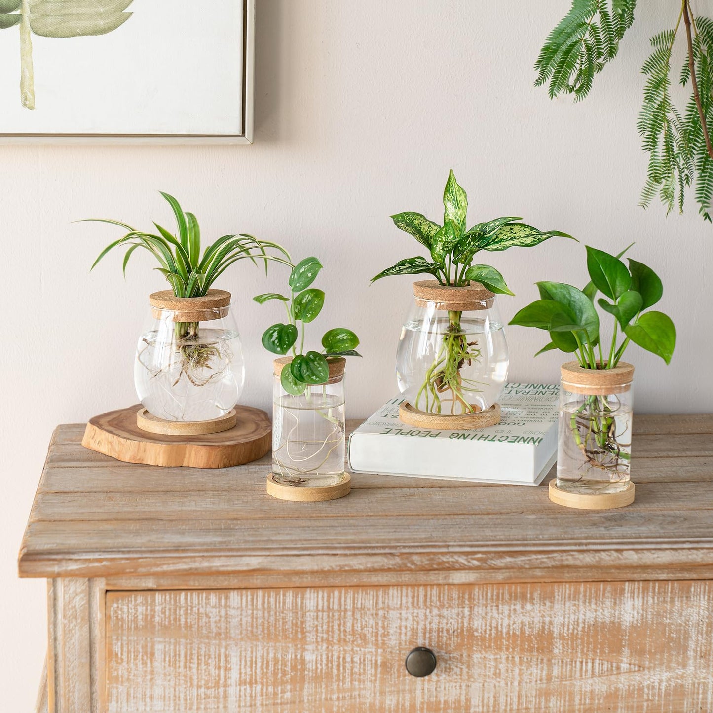 Dahey 4 Pcs Plants Propagation Stations Desktop Propagated Plant Jars Terrarium Glass Planters with Wooden Base and Lid Hydroponic Vase for Indoor Plants Tabletop Home Office Decor