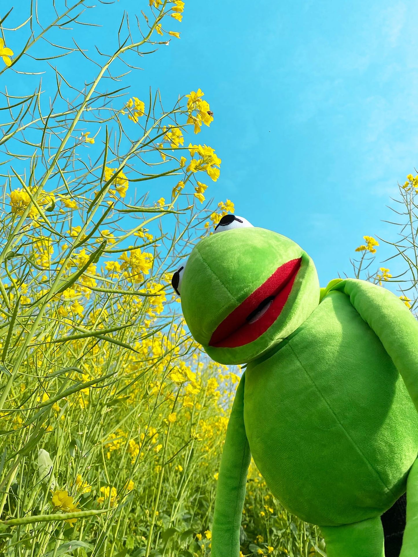 Kermit Frog Puppet, The Muppets Show, Soft Hand Frog Stuffed Plush Toy, Gift Ideas for Boys and Grils- 24 Inches