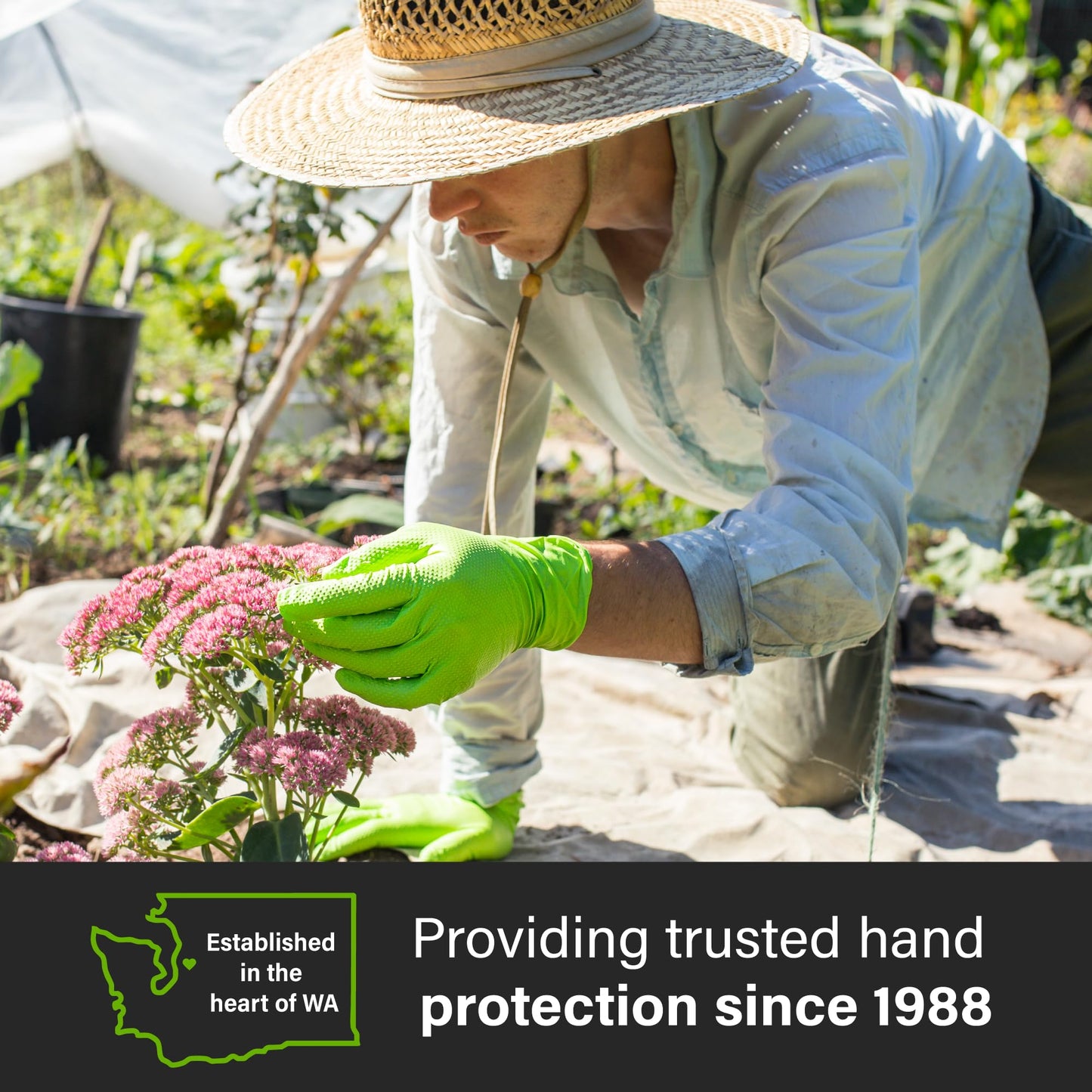 AMMEX Heavy Duty Green Nitrile 8 Mil Disposable Gloves - Extra Thick, Diamond Texture, Powder Free, Medium, Box of 100