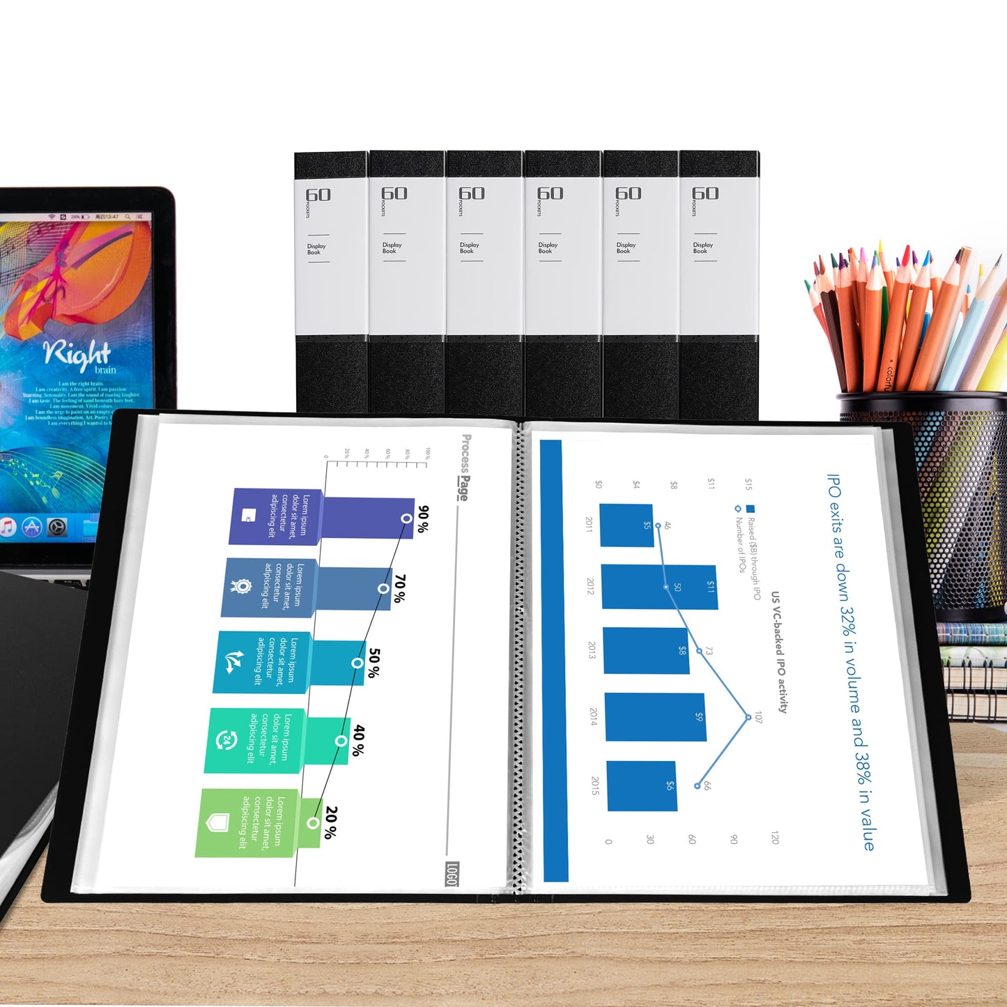 MyLifeUNIT Professional Binder with Plastic Sleeves, 60 Pockets Displays 120 Pages, 4 Pack Presentation Books Portfolio Folder for Artwork, Documents, Recipes