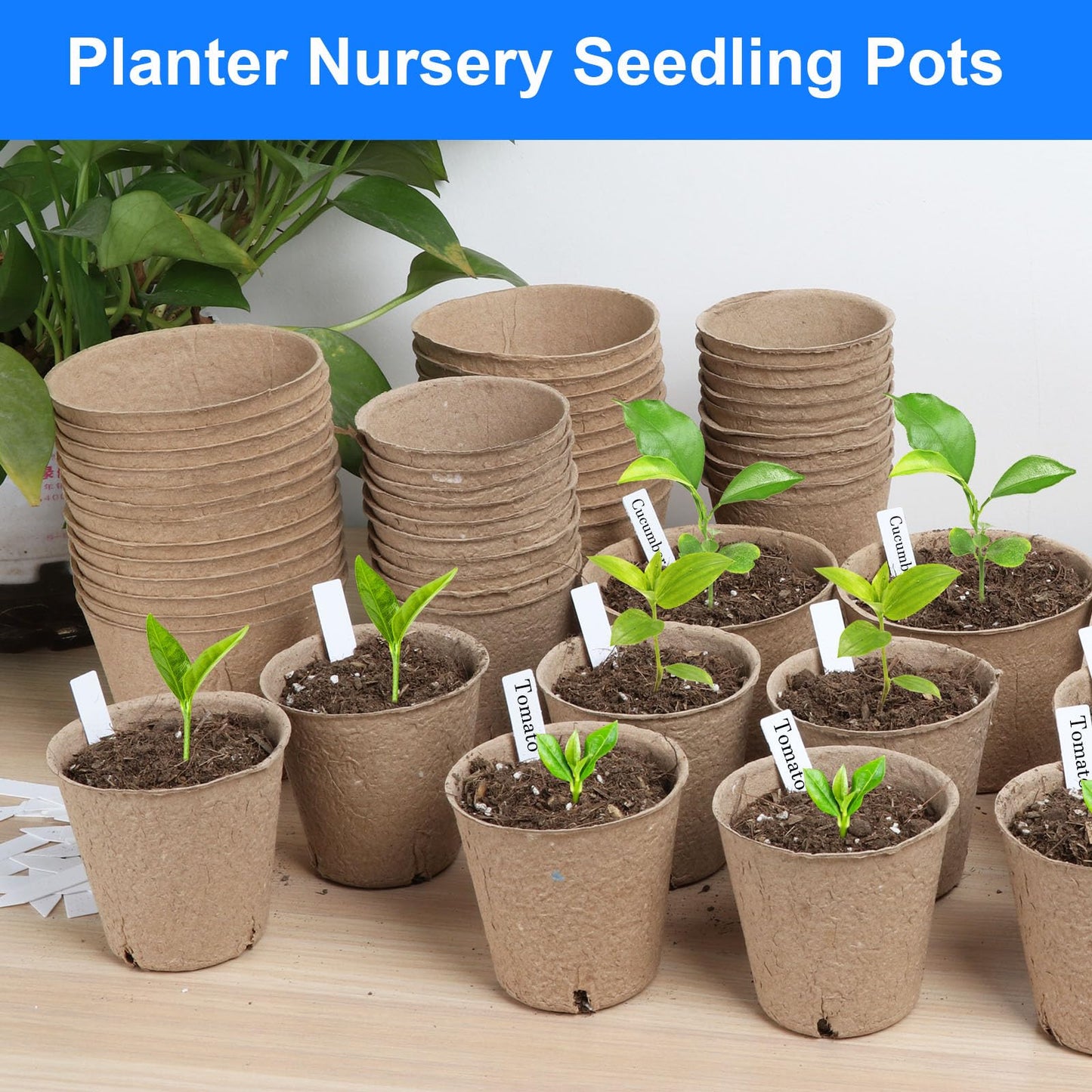 10cm Peat Pots, 130 Pcs Seed Starting Pot with Drainage Holes, Round Seedling Nursery Box, Small Seed Starting Starter Tray Bulk, Garden Germination Container with Bonus 130 Plant Labels