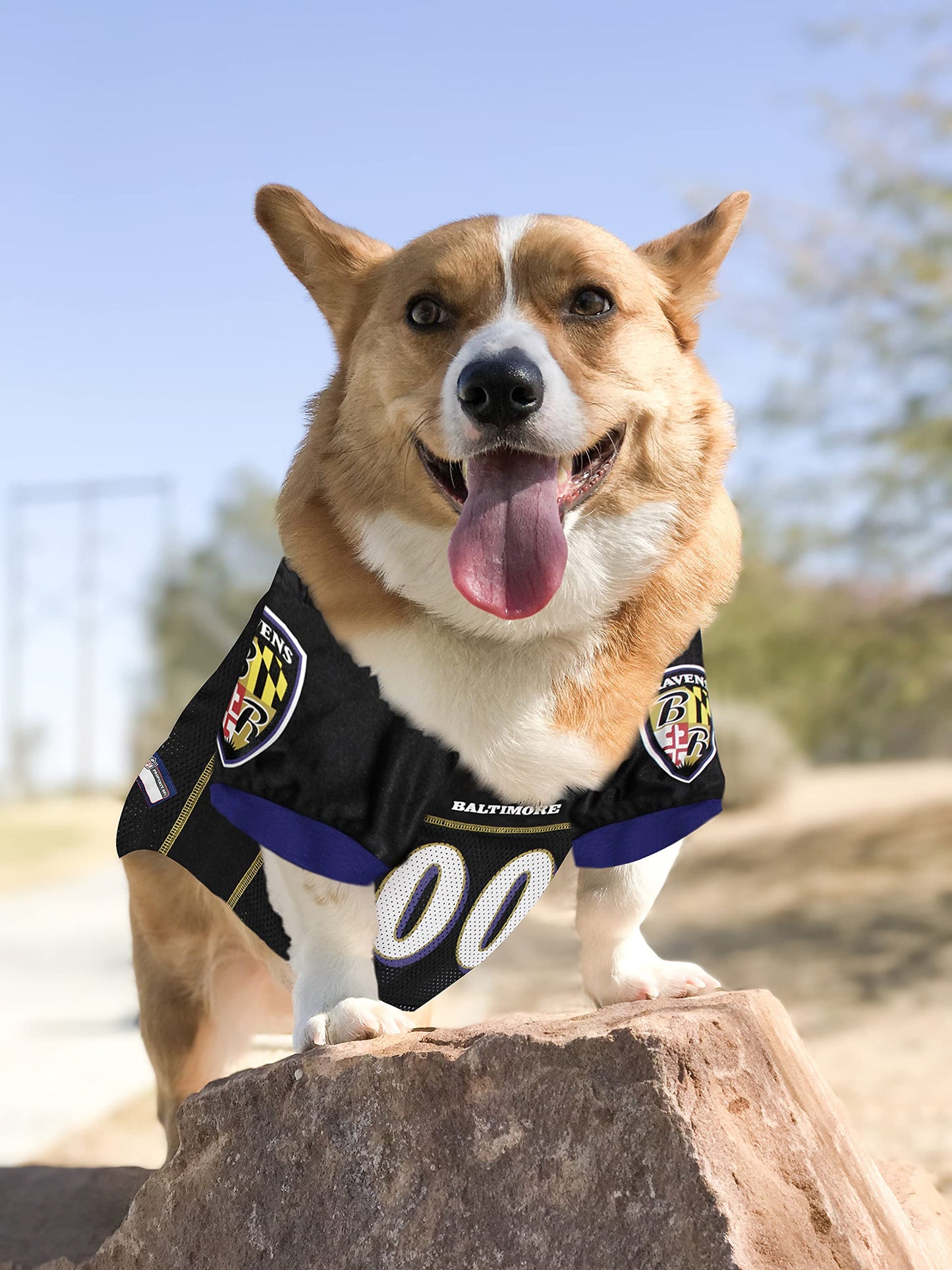 NFL Baltimore Ravens Dog Jersey, XX-Large