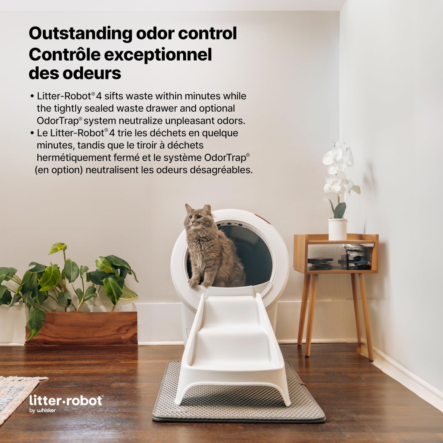 Litter-Robot 4 Ramp by Whisker, White - Cat Ramp for Litter Box, Custom Fit for Litter-Robot 4, Non-Slip Rubber Feet, Suitable for Small & Elderly Cats, Made in USA