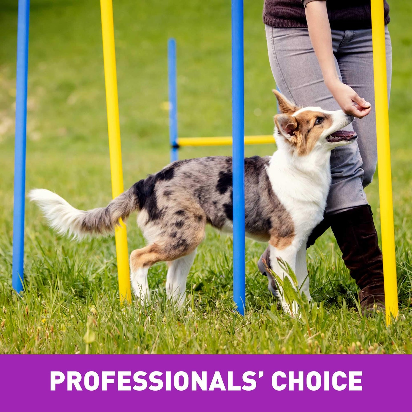 Cloud Star Crunchy Tricky Trainers, Liver, 8-Ounce (Pack of 4)