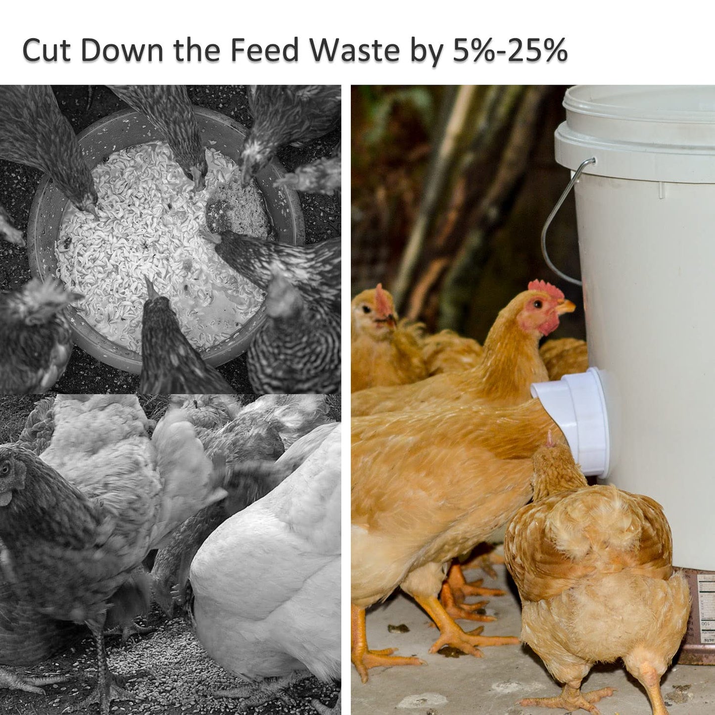 Automatic Chicken Feeder and Waterer Set Hanging Chicken Feeder No Waste Poultry Feeder 3 Gallon Water Feeder