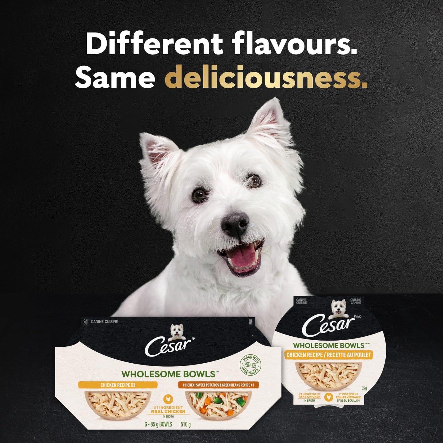 Cesar Wholesome Bowls Adult Wet Dog Food Chicken, 85g Pack of 10