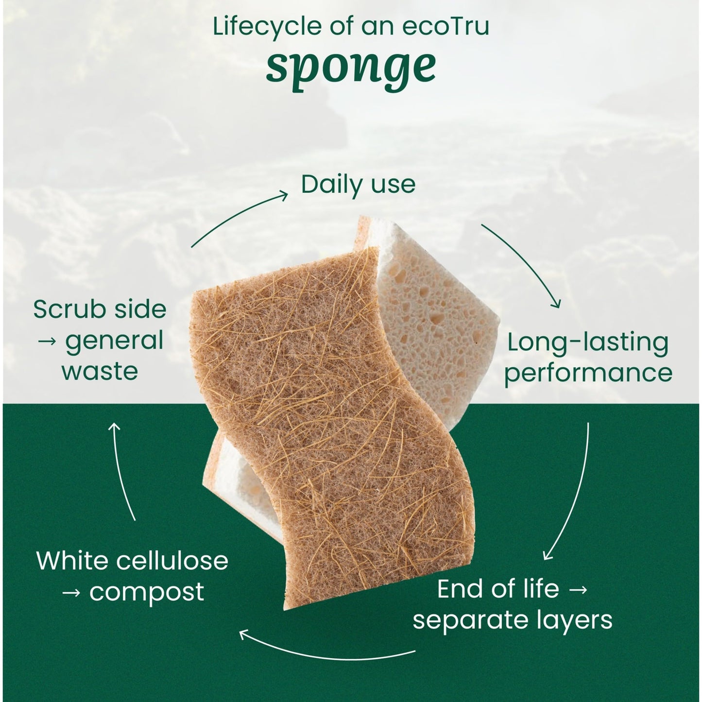 12 Pack Natural Kitchen Sponges, Compostable White Cellulose & Organic Coconut Scrubber Sponge for Washing Dishes, Kind Eco Friendly Non Toxic & Biodegradable Dishwashing Sponges
