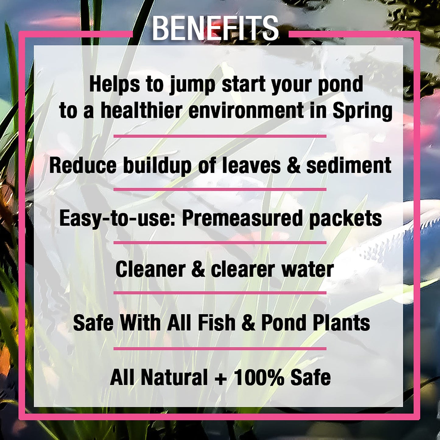Microbe Lift 1-Pound Pond Spring and Summer Pond Cleaner 10XSSCX1