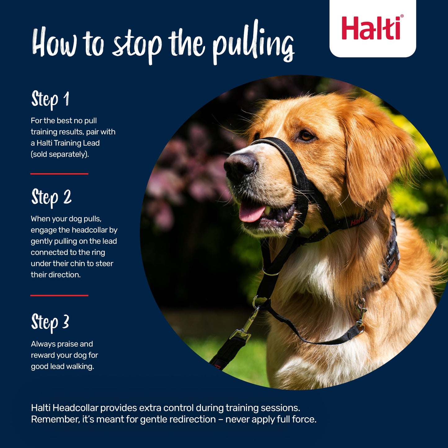 HALTI Headcollar - to Stop Your Dog Pulling on The Leash. Adjustable, Reflective and Lightweight, with Padded Nose Band. Dog Training Anti-Pull Collar for Large Dogs (Size 5, Black)