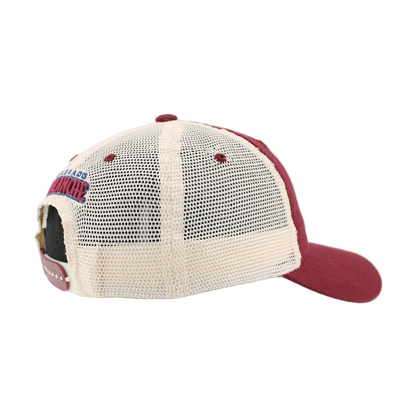 ZHATS Standard NHL Officially Licensed Adjustable Snapback Hat University Icon Team Color