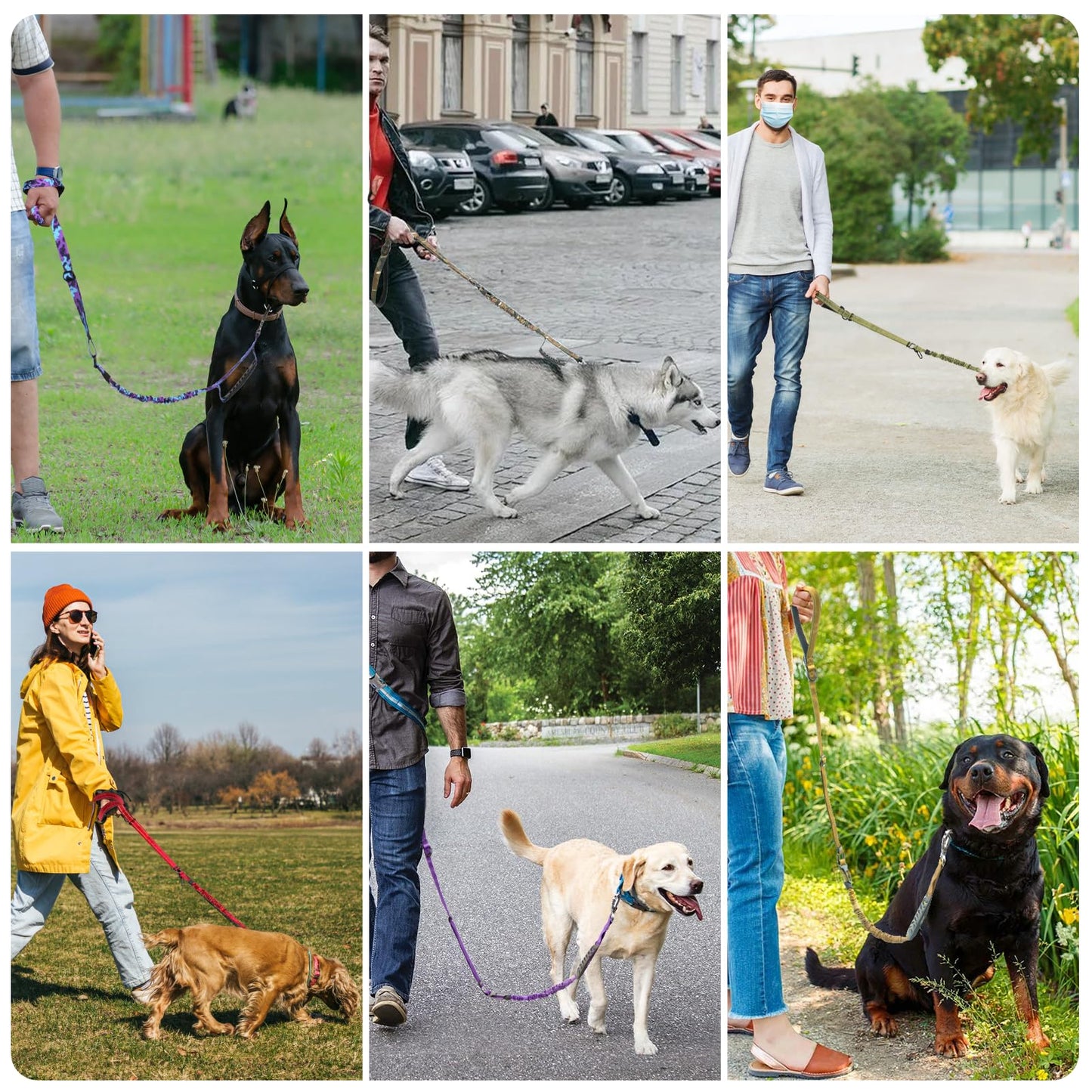 Chioratree Heavy Duty Dog Leash for Medium Large Dogs 2 Pack, Shock Absorbing Bungee Tactical Dog Leash, 4-6FT Strong No Pull Lead with 2 Padded Handle,Car Seatbelt,Light Reflective Rope, Black Purple