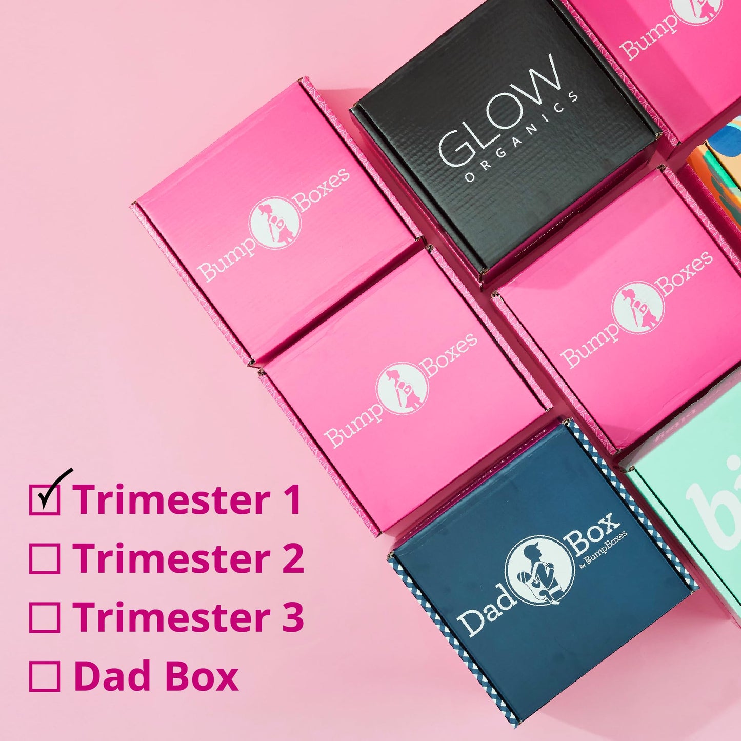 Bump Boxes 1st Trimester Pregnancy Gift Box