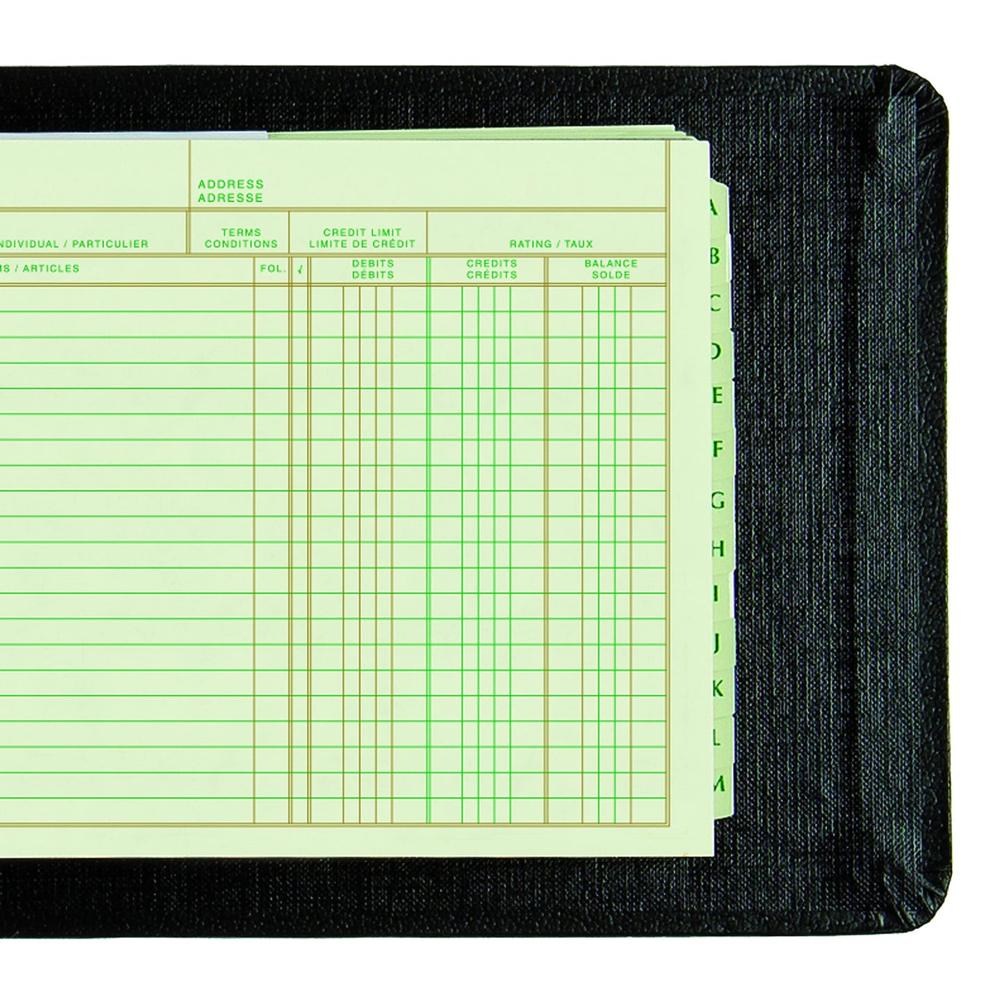 Blueline Mini-Ledger Outfits, 1-Inch Vinyl Cover Binder, 100 Mini-Ledger Sheets, 4 Rings, 6-3/16-Inch x 10-Inch, Bilingual, Black (B055)