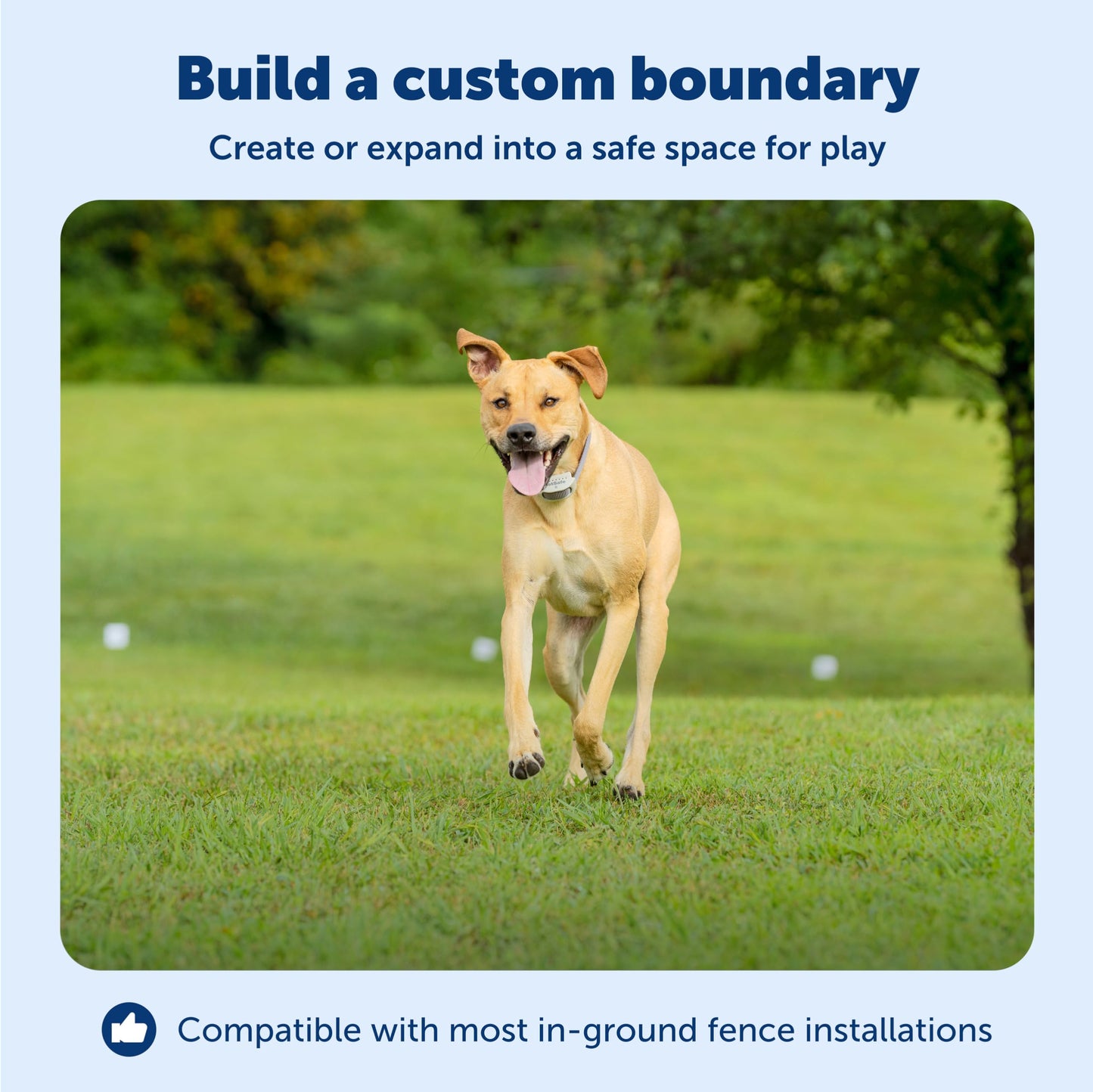 PetSafe Extra In-Ground Fence Boundary Wire - 500-foot Spool of Solid Core 20-Gauge Copper Wire, In-Ground Pet Fence Wire, Colors May Vary