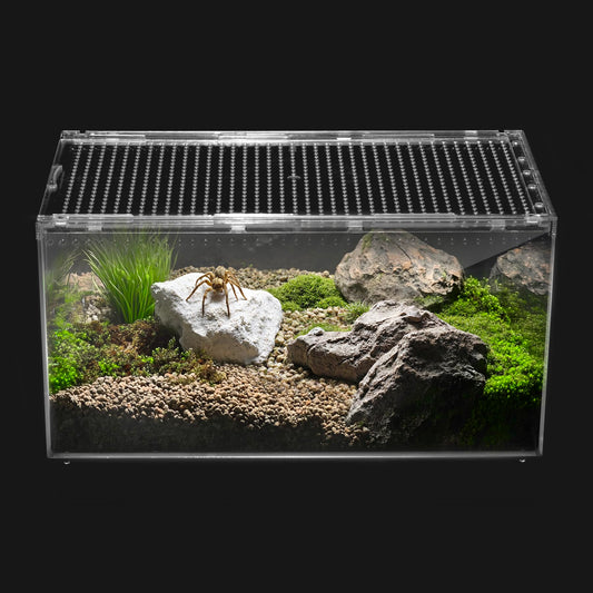Clioran Reptile PC Terrarium,Spider Tank Starter Kit,Leopard Gecko Container,Tarantula Cage,Hermit Crab Habitat,Lizard Enclosure,Insect Housing,Jumping Spider Enclosure,Small Bearded Dragon Vivarium