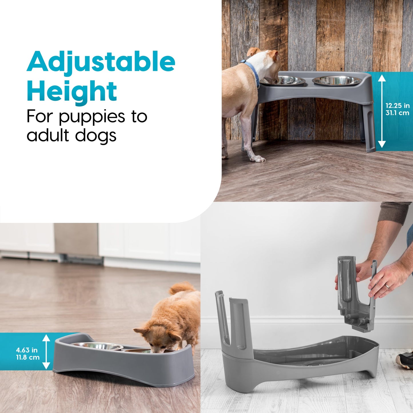 IRIS USA Elevated Dog Bowls, Adjustable Height, 2 Thick 1.9 L Stainless Steel Bowls, Spill-Proof with Raised Outer Rim, Durable Plastic, Easy Assemble, 2 Heights 11.8 or 31.1 cm, Dark Gray