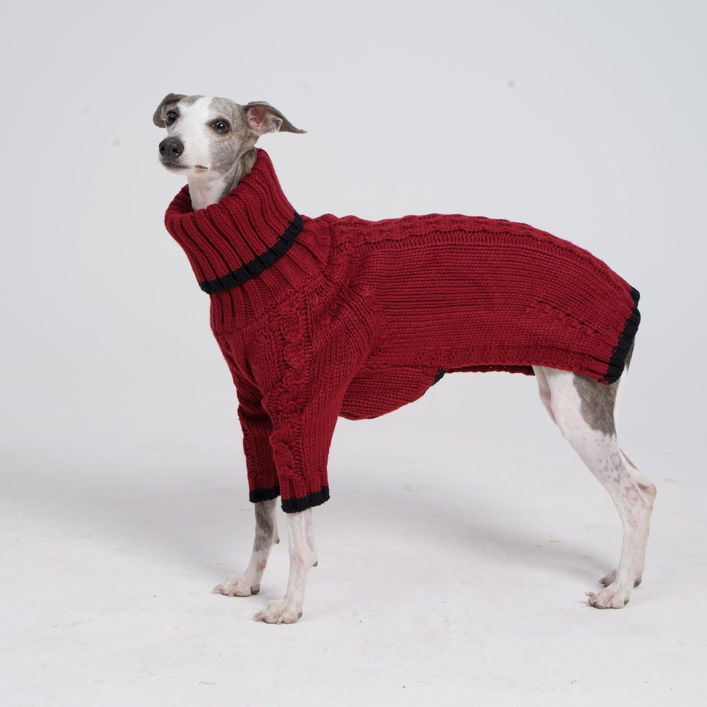 ESCCBOO Italian Greyhound Clothes, Warm Sweater for Whippets, Dog Onesie, Two-Legged Turtleneck Warm Sweater for Small Medium Dogs (Medium, Red)