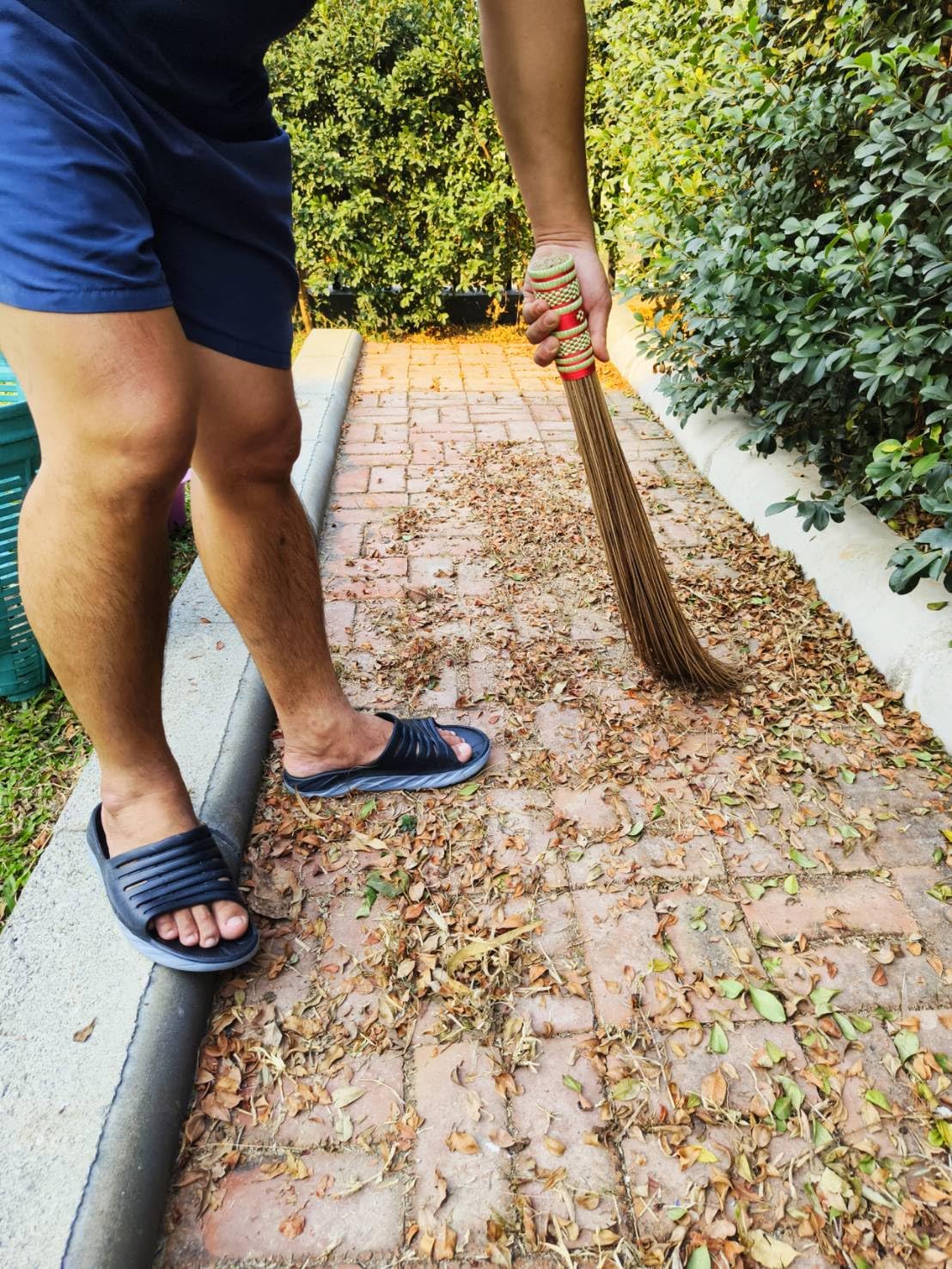 32 inch Multi-Surface Sturdy Outdoor Authentic Coconut Leaf Broom Asian Heavy Duty Broom Thai Natural Coconut Leaf Broom (Country Rustic) (1 Piece)