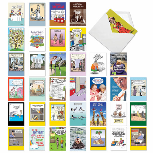 NobleWorks - Variety Pack of 36 Assorted Funny Birthday Greeting Cards Bulk Box Set w/Envelopes, Edgy Adult Humor BDay Pack for Men, Women, Friend - Birthday Favorites Collection AC2911BDG-B1x36