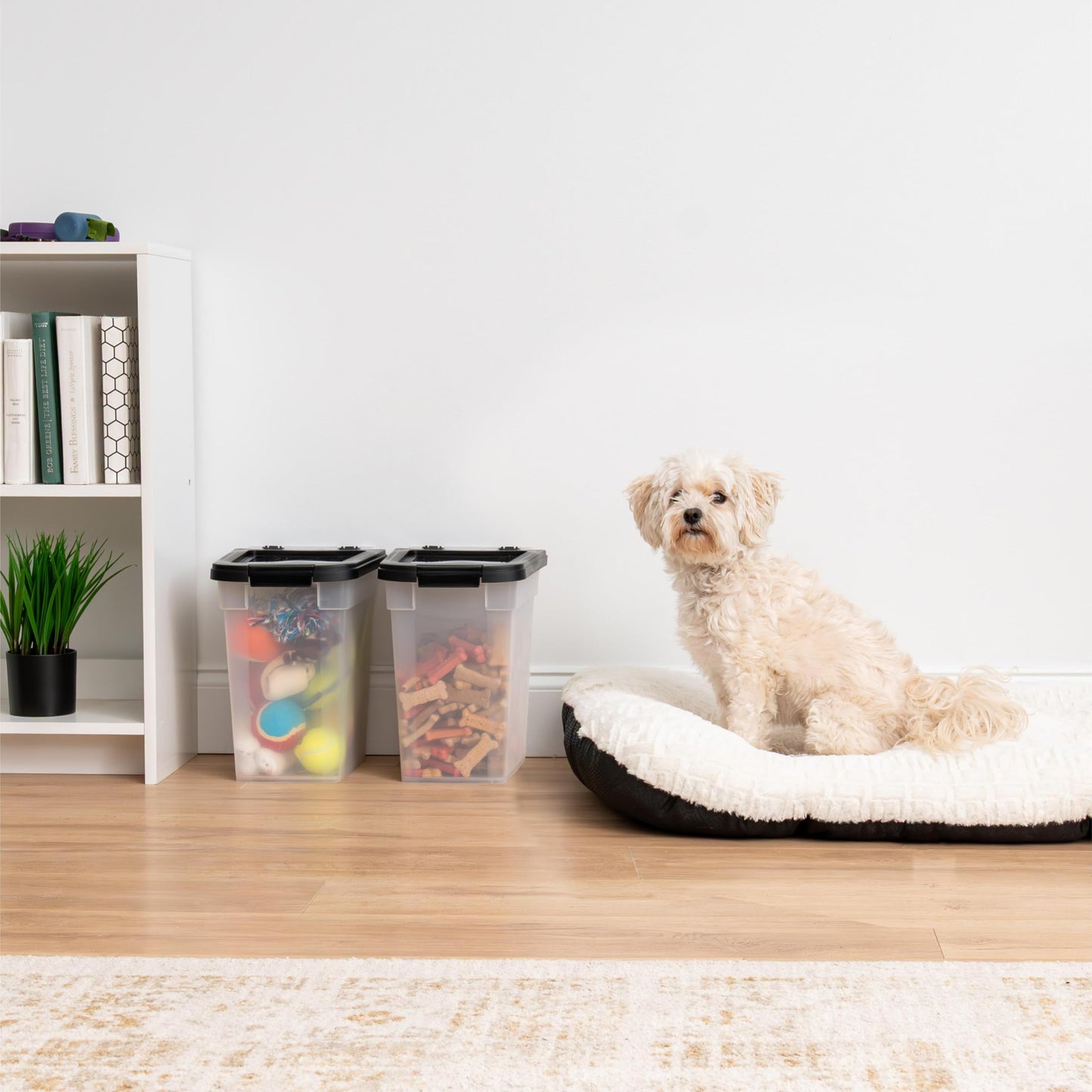IRIS USA WeatherPro Airtight Dog Food Storage Container, Up to 4.5 Kg Each, 2 Pack, for Dog Cat Bird and Other Pet Treat Food Storage Bin, Keep Fresh, Translucent Body, BPA Free, Clear/Black