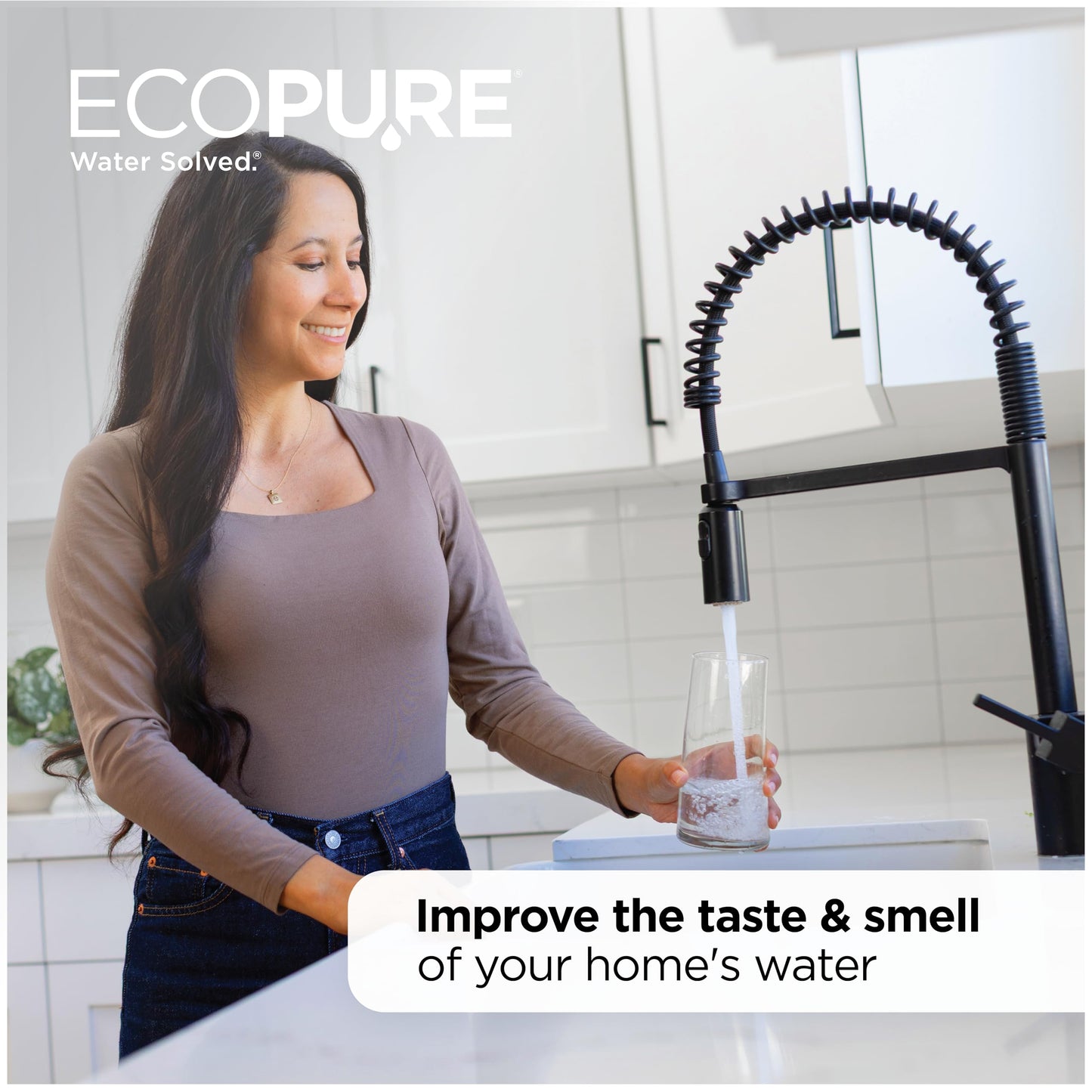 EcoPure EPW2C Carbon Universal Whole Home Filter, 2 Pack