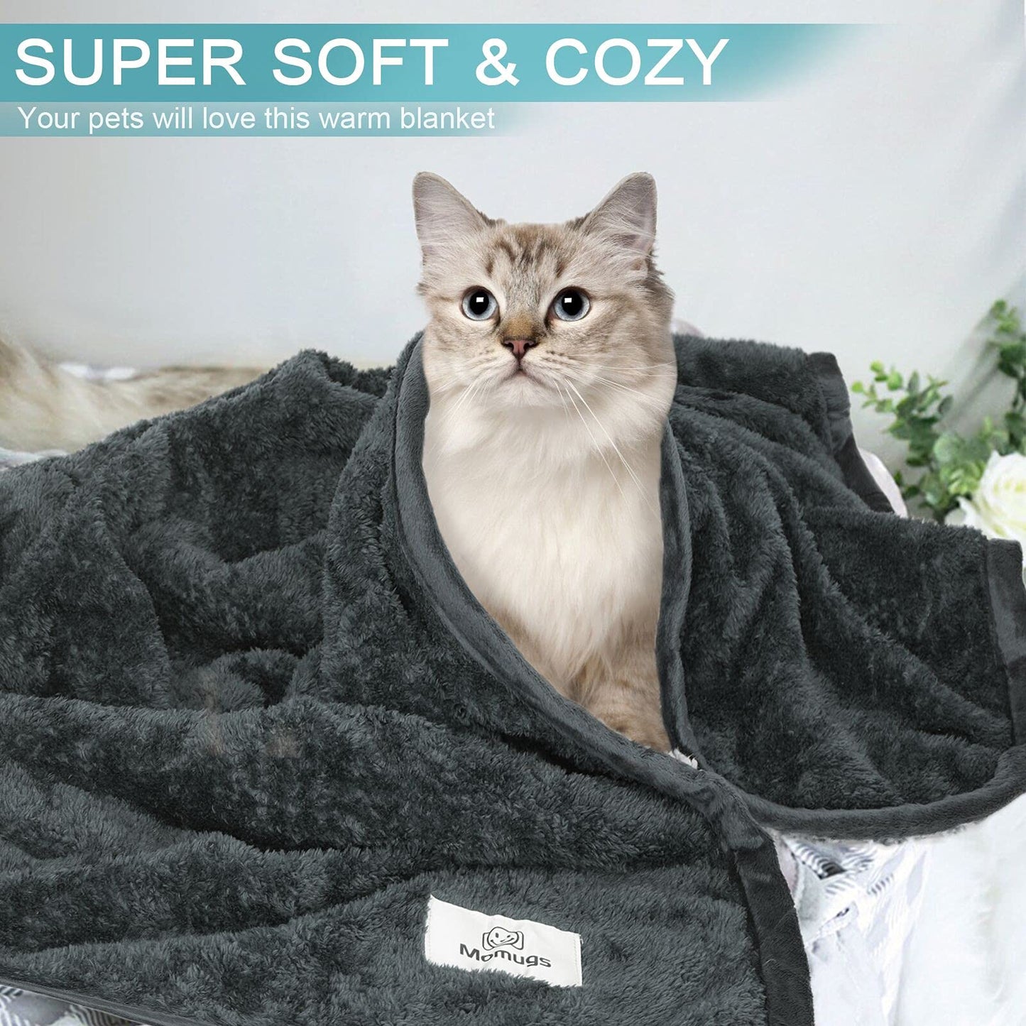Bidear Dog Blanket Soft Fluffy Pet Blanket Waterproof Warm Cat Blanket Self-Warming Puppy Snuggle Blanket Warm Throw Pets Bed Blankets Dog Fuzzy Blankets for Sofa Travel 31.5 x 39.4”- Grey