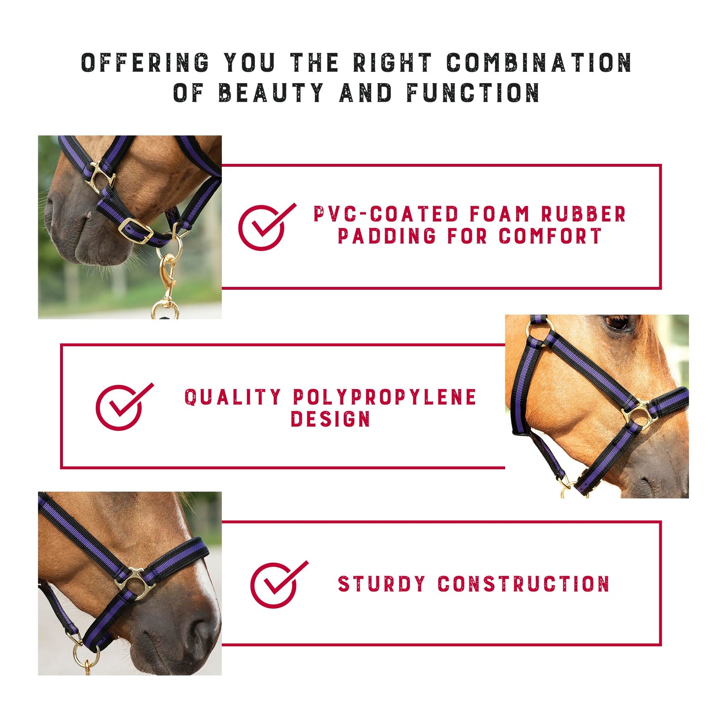 Weaver Leather Padded Breakaway Adjustable Chin & Throat Snap Halter, 1" Average Horse or Yearling Draft