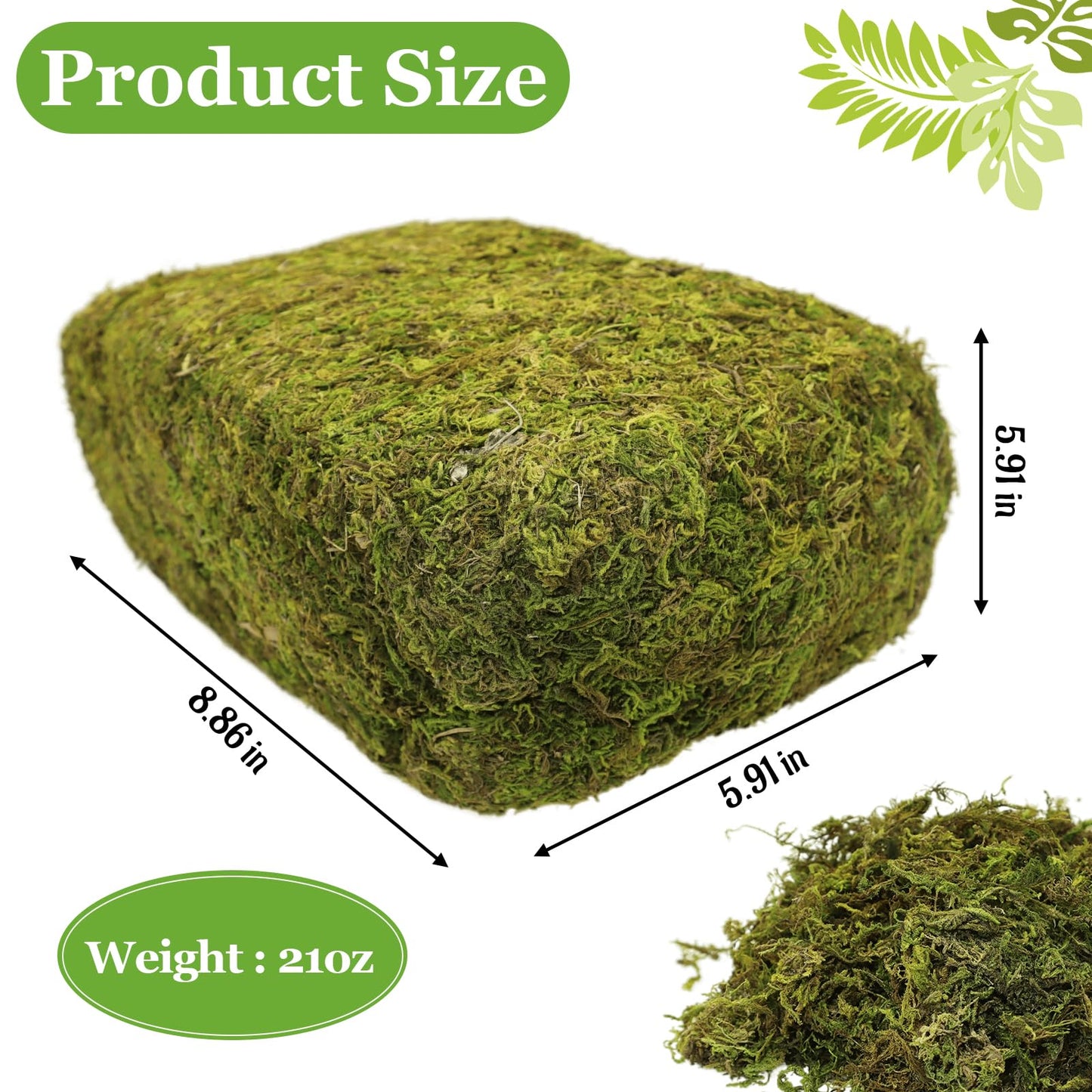 Riare 1.3LBS Artificial Fake Moss for Fake Plants Indoor- Premium Faux Craft Moss for Potted Plant, Fresh Forest Green for Hamsters Micro-Landscape Terrariums Centerpieces Decor