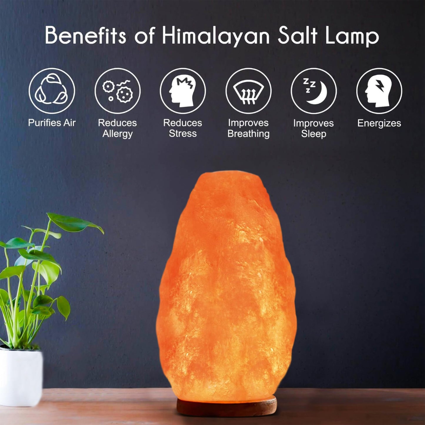 Himalayan Glow Natural Pink Salt Lamp, Crystal Salt Lamp Night Light with (ETL Certified) Brightness Control Dimmer Switch, Wooden Base & Salt Lamps Bulb, 5-7 Lbs
