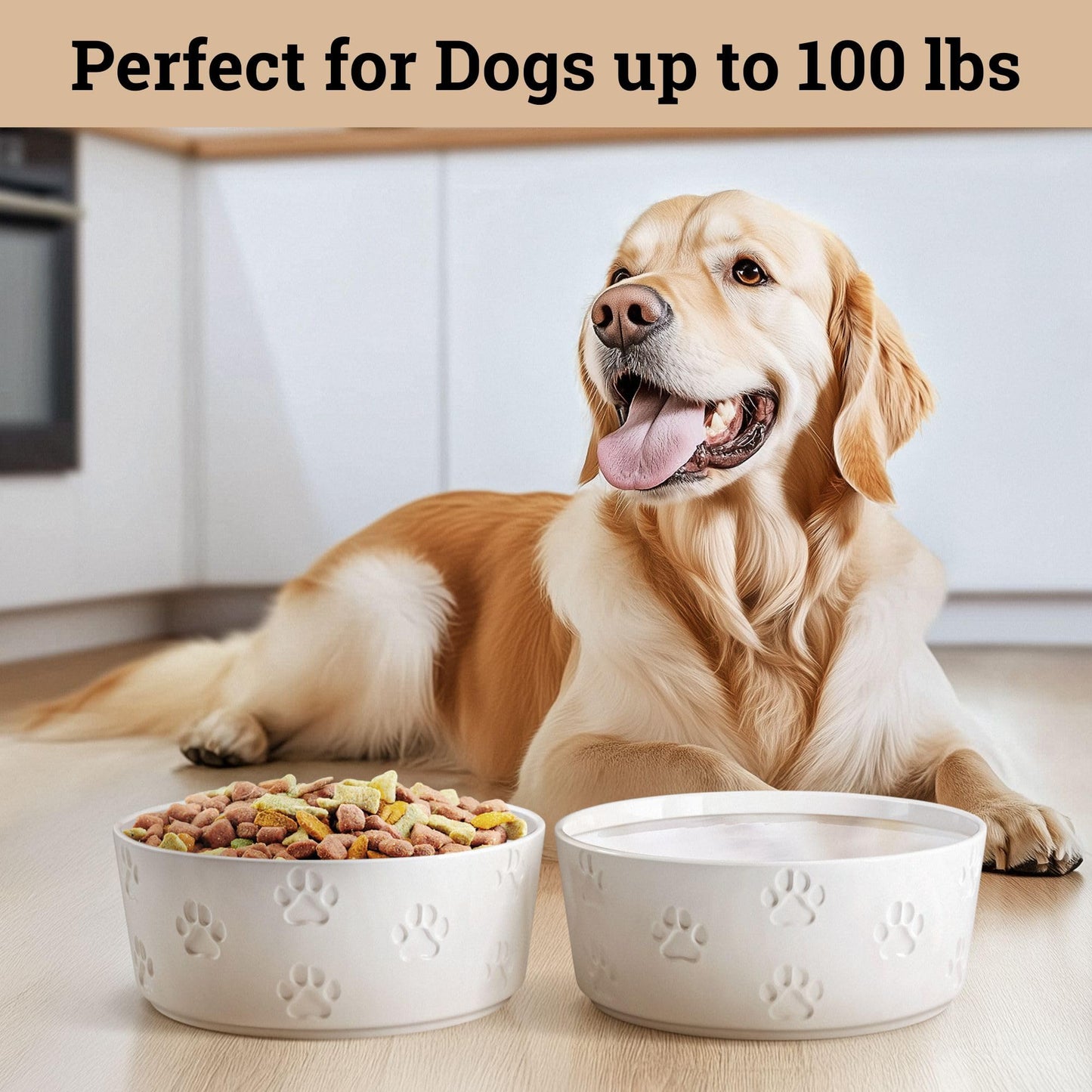 Ceramic Dog Bowl Set of 2 with Anti-Skid Base - 7.5" Wide x 3" Tall Ceramic Dog Bowls for Large Dogs - 6 Cup Capacity Food and Water Bowls for Dogs - Rubber Bottom Pet Bowl Set of 2 for Large Pets