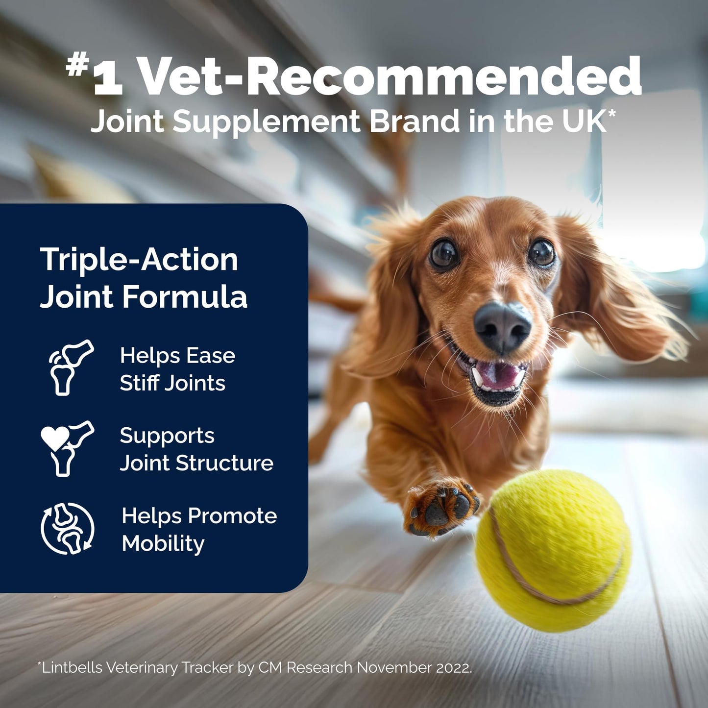 YuMOVE Advanced Vet Strength Hip & Joint Supplement for Dogs with Glucosamine, Hyaluronic Acid, ActivEase Green Lipped Mussel & Omega 3 Joint Supplement for Stiffness & Mobility (180ct Chews)