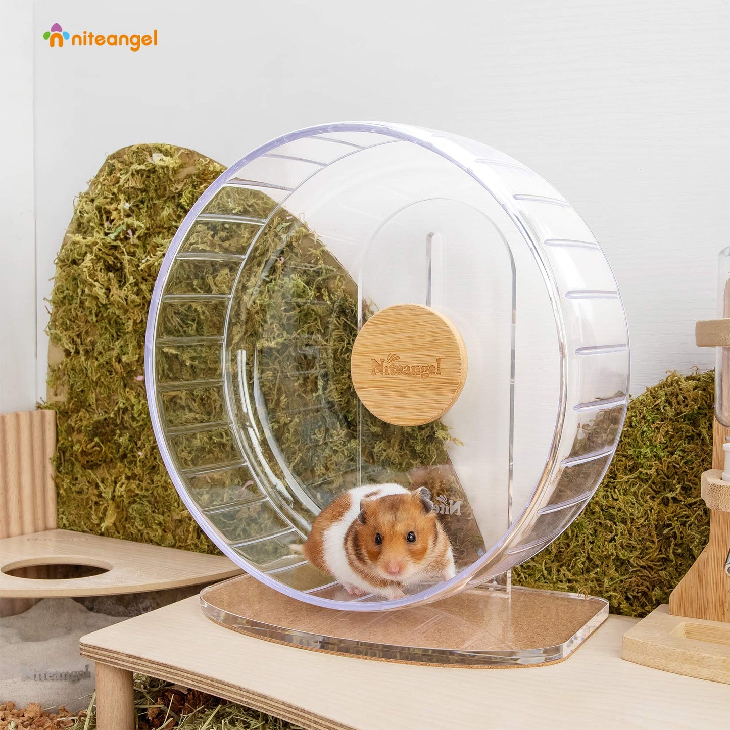 Niteangel Super-Silent Hamster Exercise Wheels - Quiet Spinner Hamster Running Wheels with Adjustable Stand for Dwarf Syrian Hamsters Gerbils Mice Or Other Small Animals (Transparent, Medium)