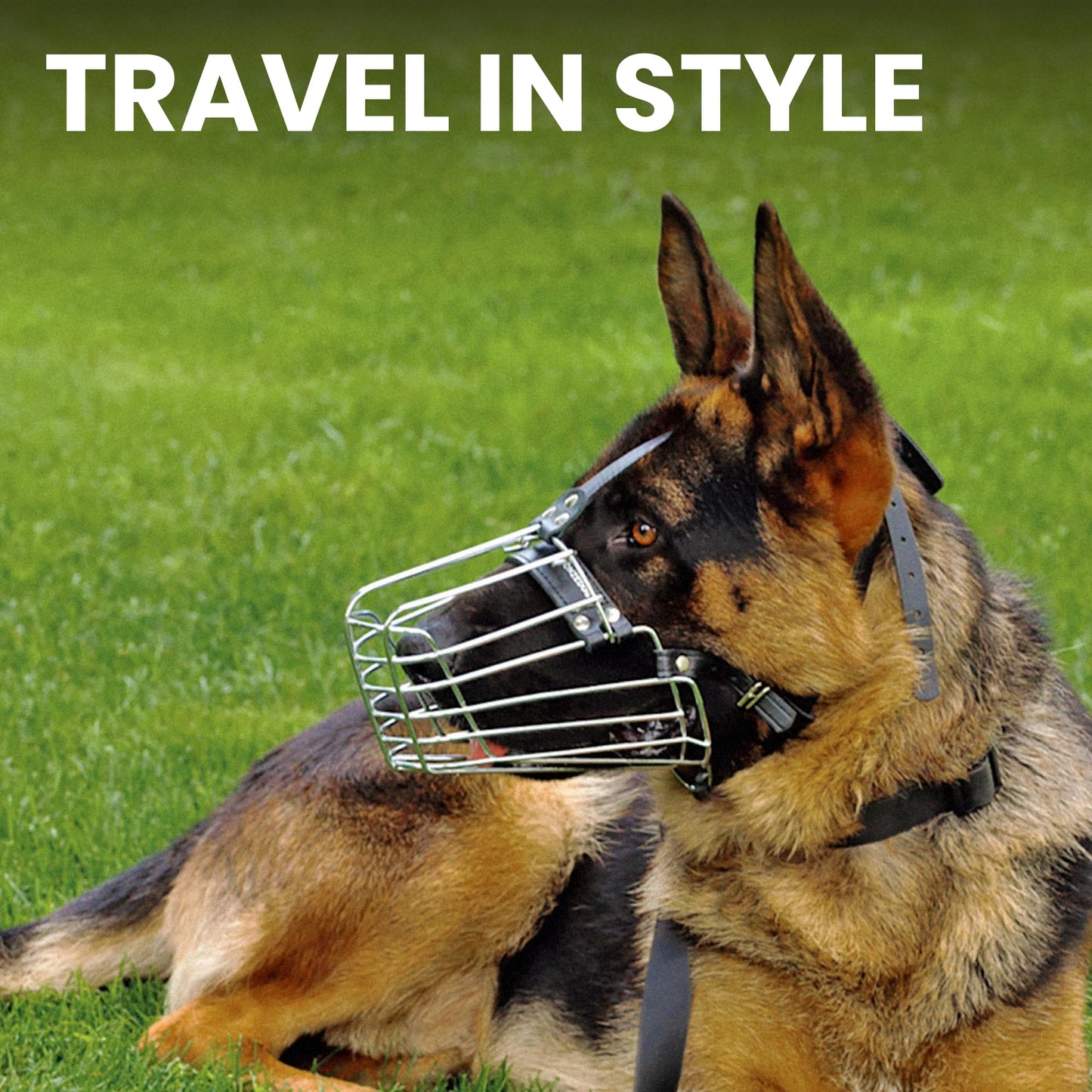 BRONZEDOG Wire Dog Muzzle German Shepherd for Medium Large Dogs Adjustable Durable Metal Basket for Biting Chewing Barking (M)